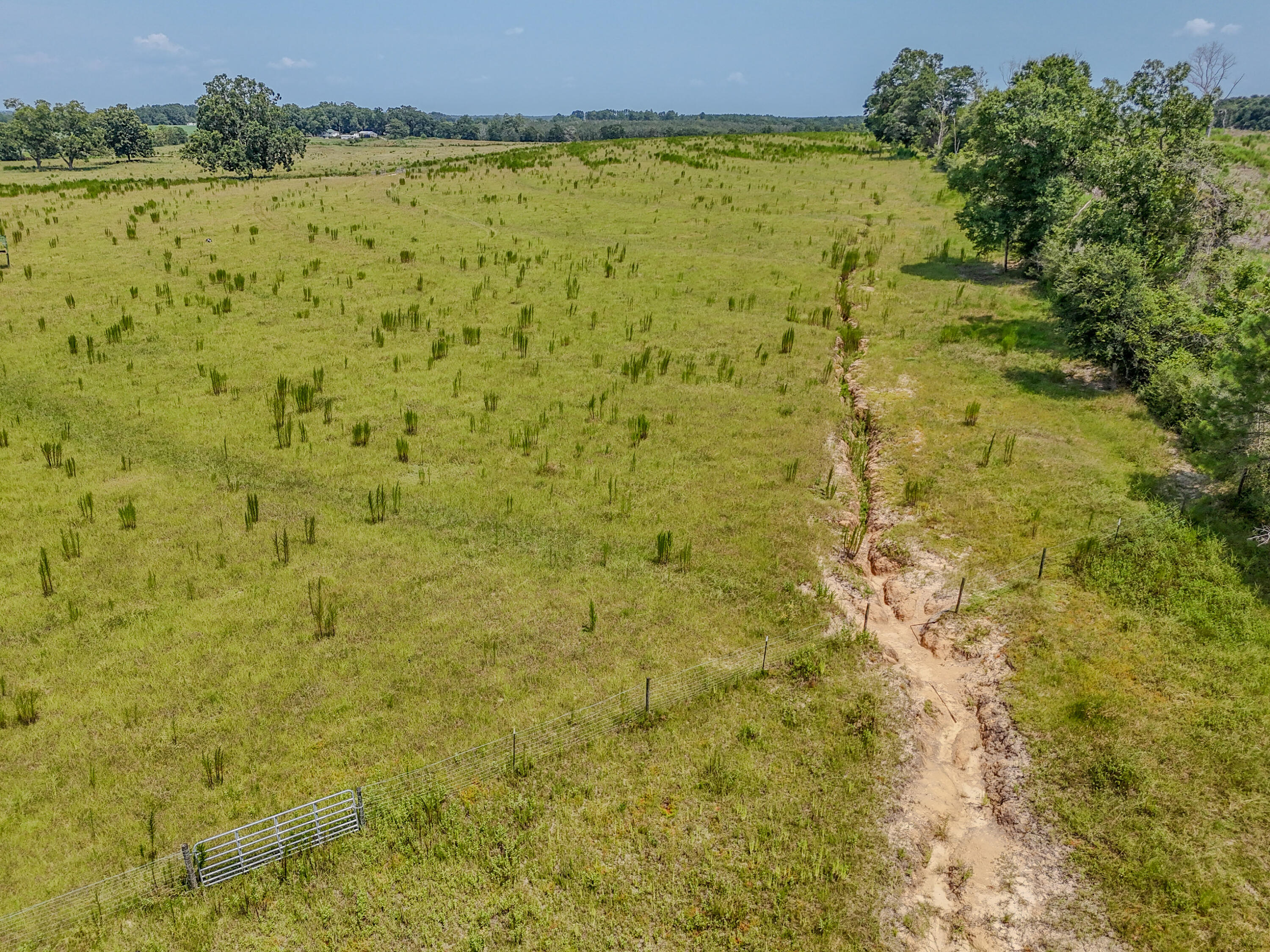 3958 Gopher Ridge Road Samson, AL 36477 - Photo 21 of 25 DJI_20260730003740_0028_D - Copy