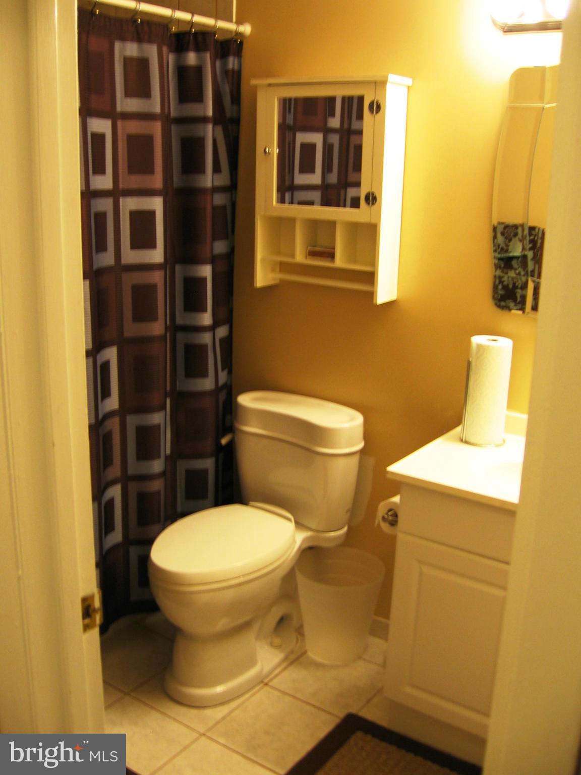 17 Hamill Road, Unit 17B Baltimore, MD 21210 - Photo 13 of 20 Bath