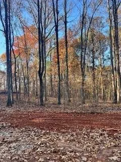 a big yard with trees