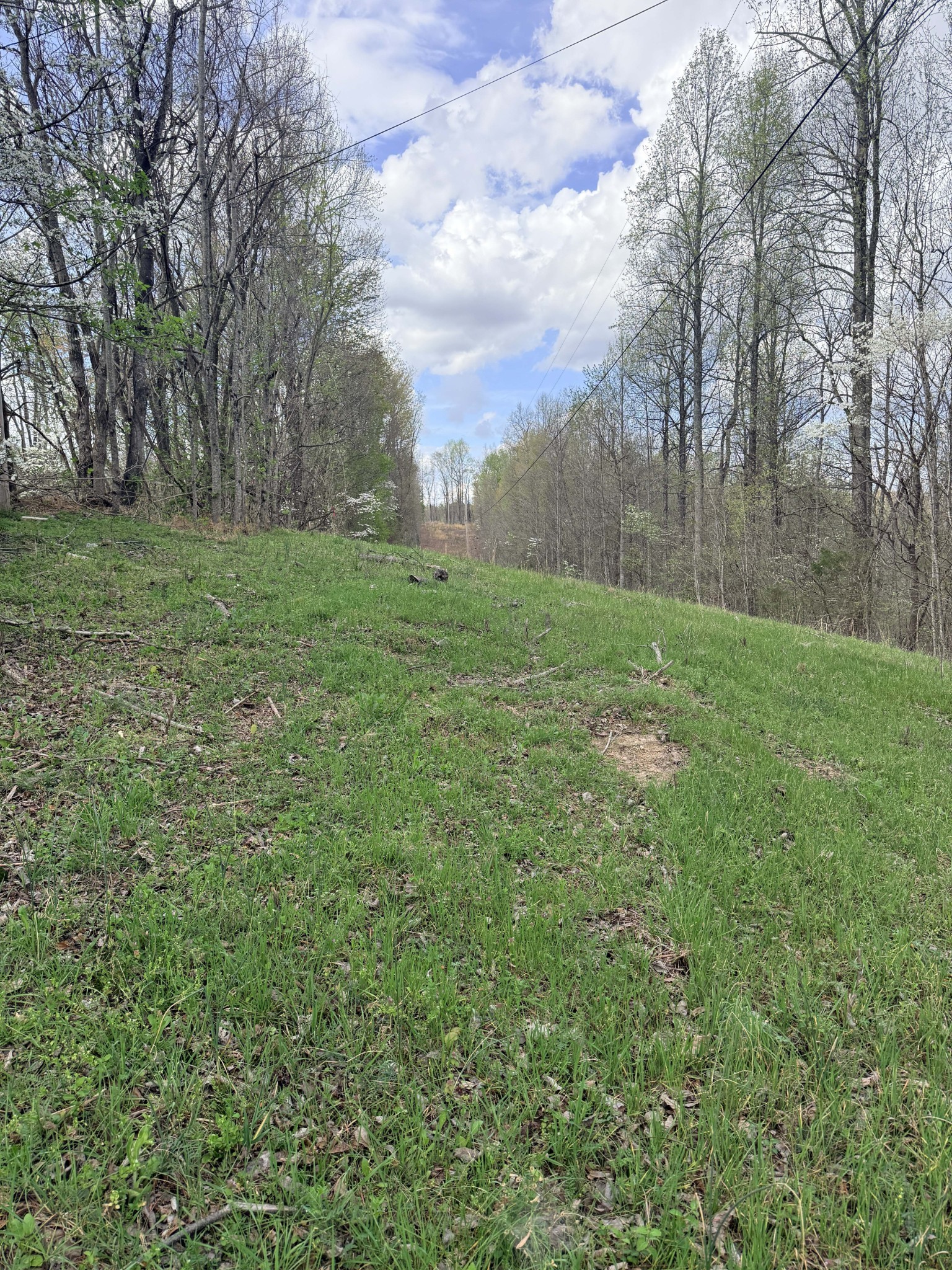 935 Sugar Tree Knob Road Liberty, TN 37095 - Photo 23 of 23