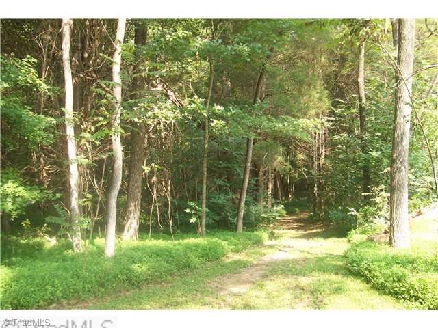 5804 Bison Drive Oak Ridge, NC 27310 - Photo 3 of 10 Other. On site walking trail