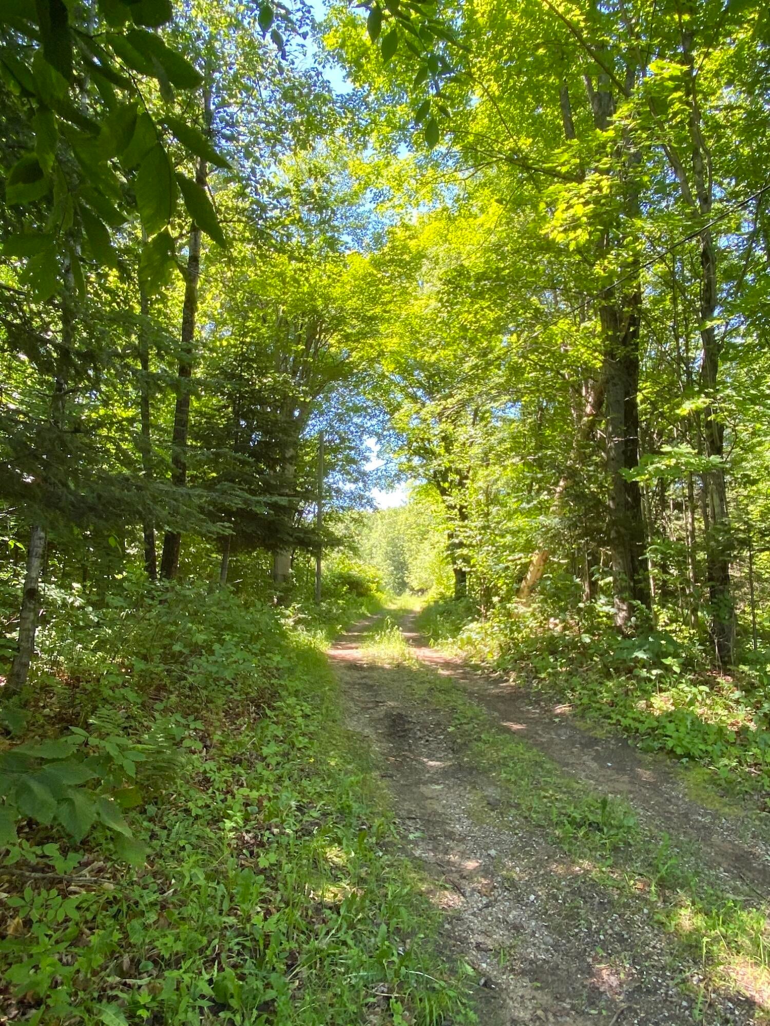 9977 South North Hulbert Road Hulbert, MI 49748 - Photo 52 of 60 Gallery Image 52