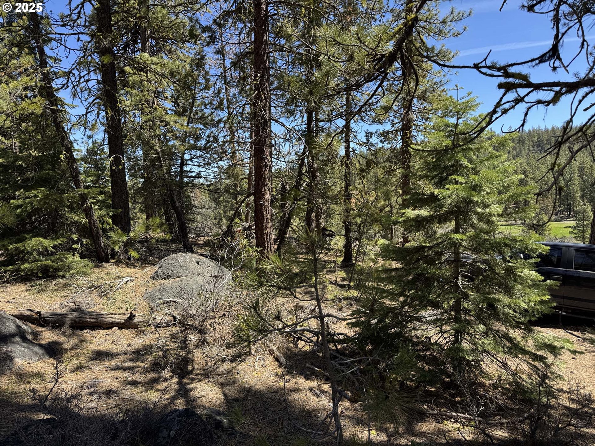 Horned Owl Lane Bonanza, OR 97623 - Photo 10 of 44
