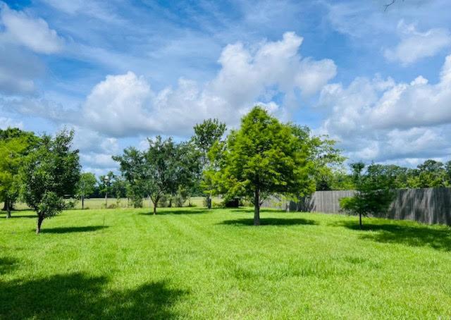 2662 Messina Road Boyce, LA 71409 - Photo 3 of 32 Gallery Image 3