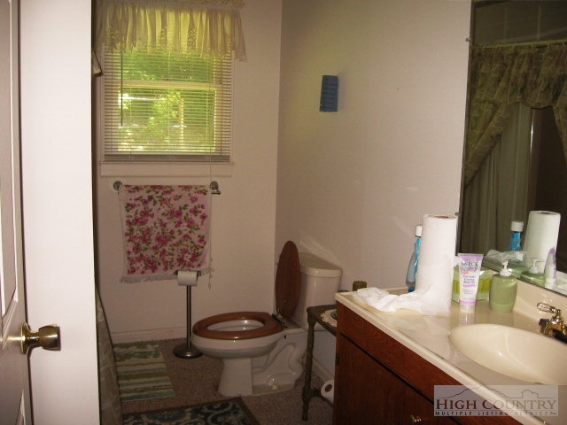 4818 Big Ivy Road Purlear, NC 28665 - Photo 3 of 13