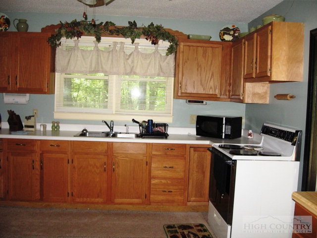 4818 Big Ivy Road Purlear, NC 28665 - Photo 6 of 13