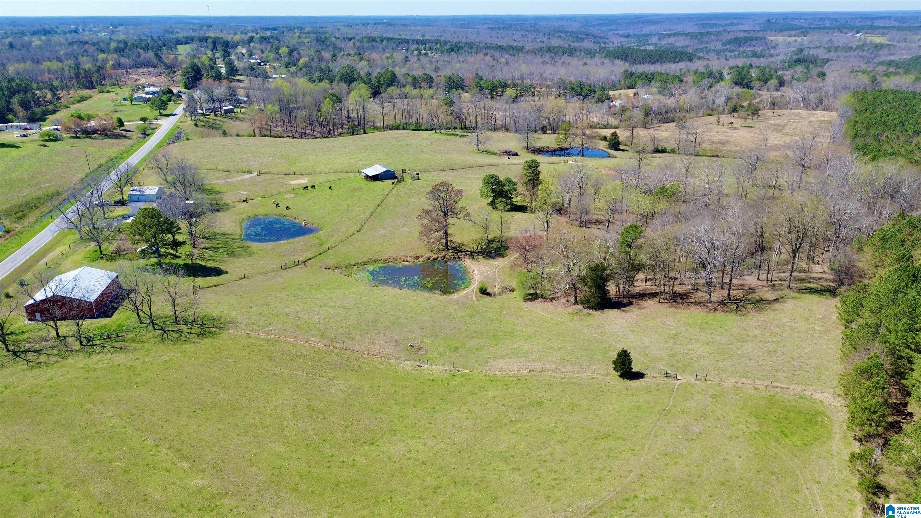 8115 Helicon Road Arley, AL 35541 - Photo 9 of 86