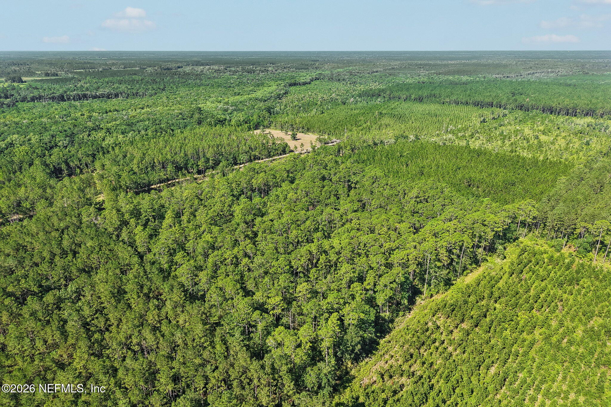 0 Coopers Neck Road Hilliard, FL 32046 - Photo 6 of 15 4-web-or-mls-Coopers Neck Rd-S2506-004