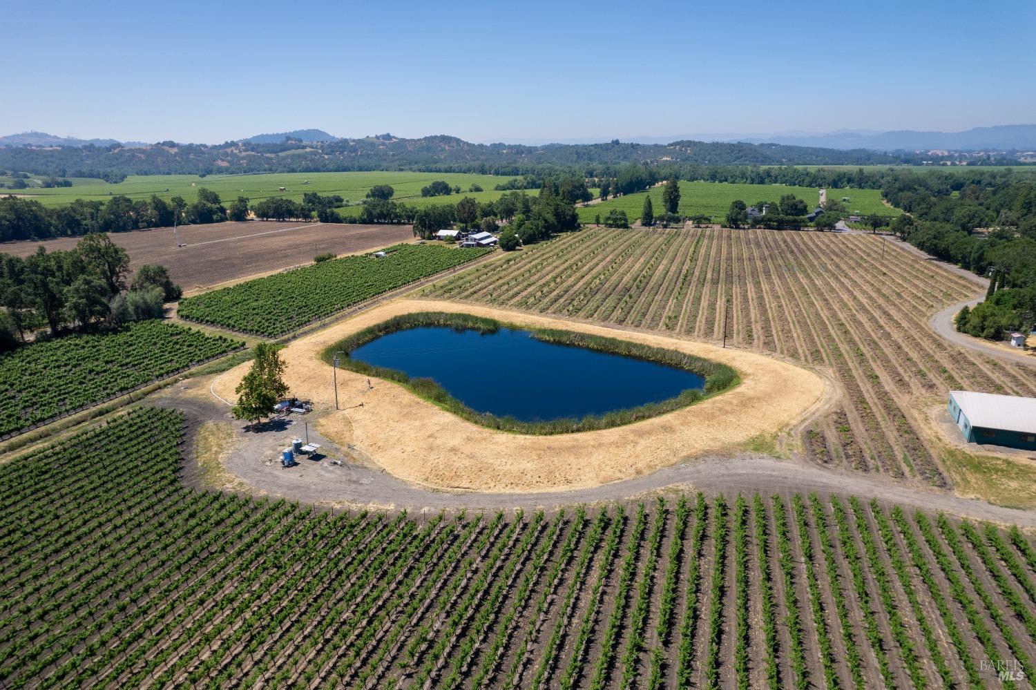 5744 Highway 128 Geyserville, CA 95441 - Photo 7 of 13 a view of a swimming pool and trees in the background