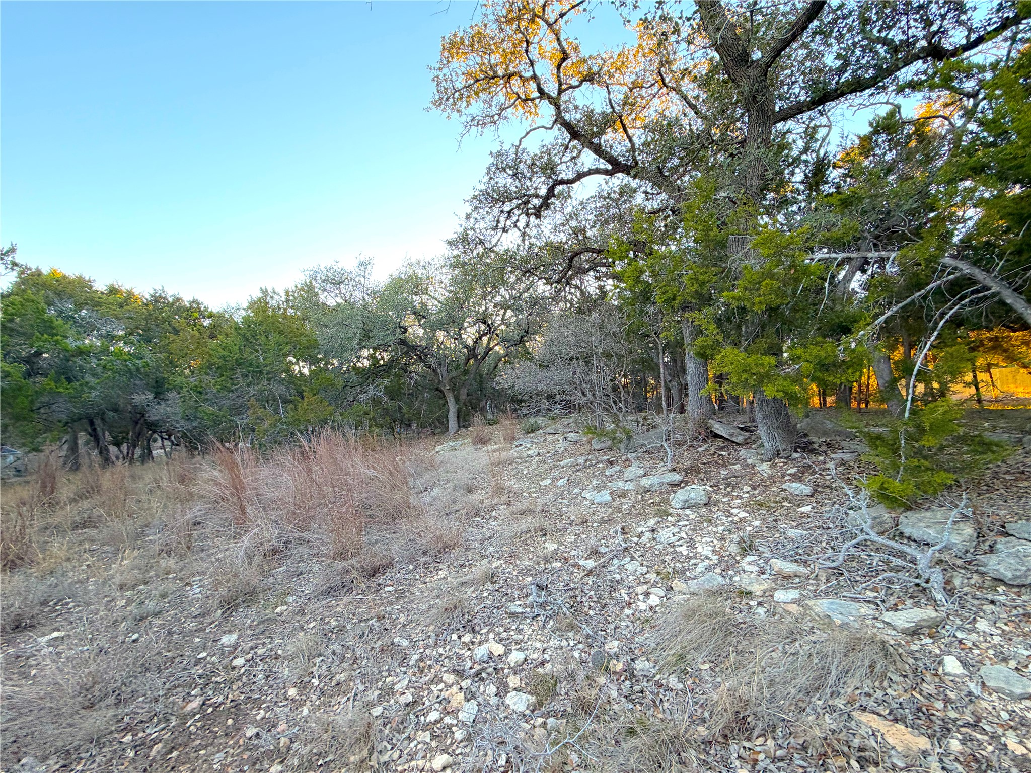 209 Legacy Ridge Canyon Lake, TX 78133 - Photo 7 of 12 View of local wilderness