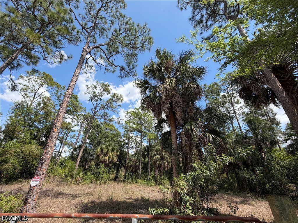 8261 Scarecrow Road North Fort Myers, FL 33917 - Photo 6 of 10