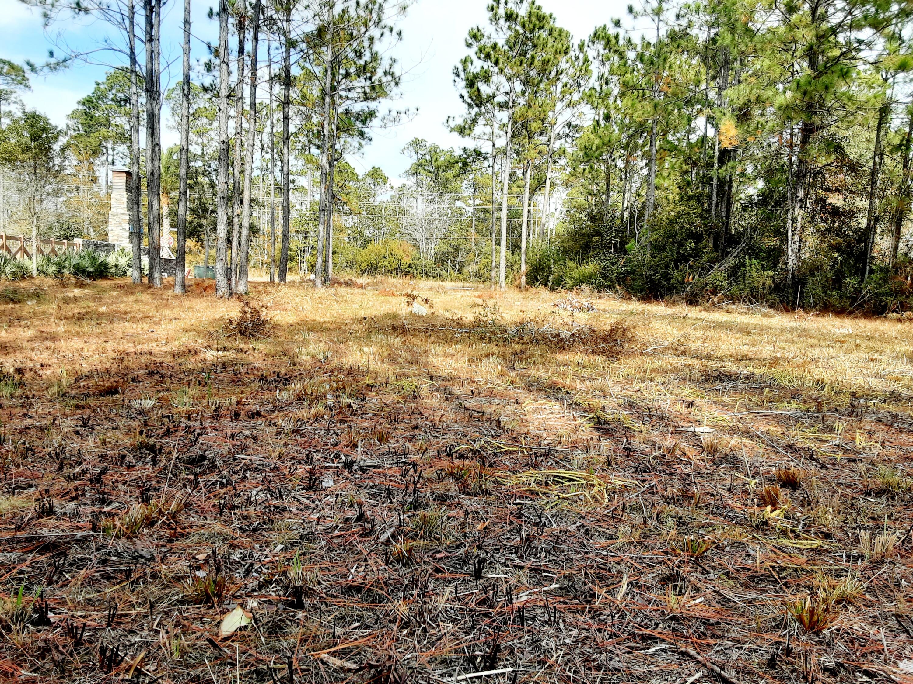 Lot 9 Bear Creek Freeport, FL 32439 - Photo 1 of 9 a view of road covered with snow