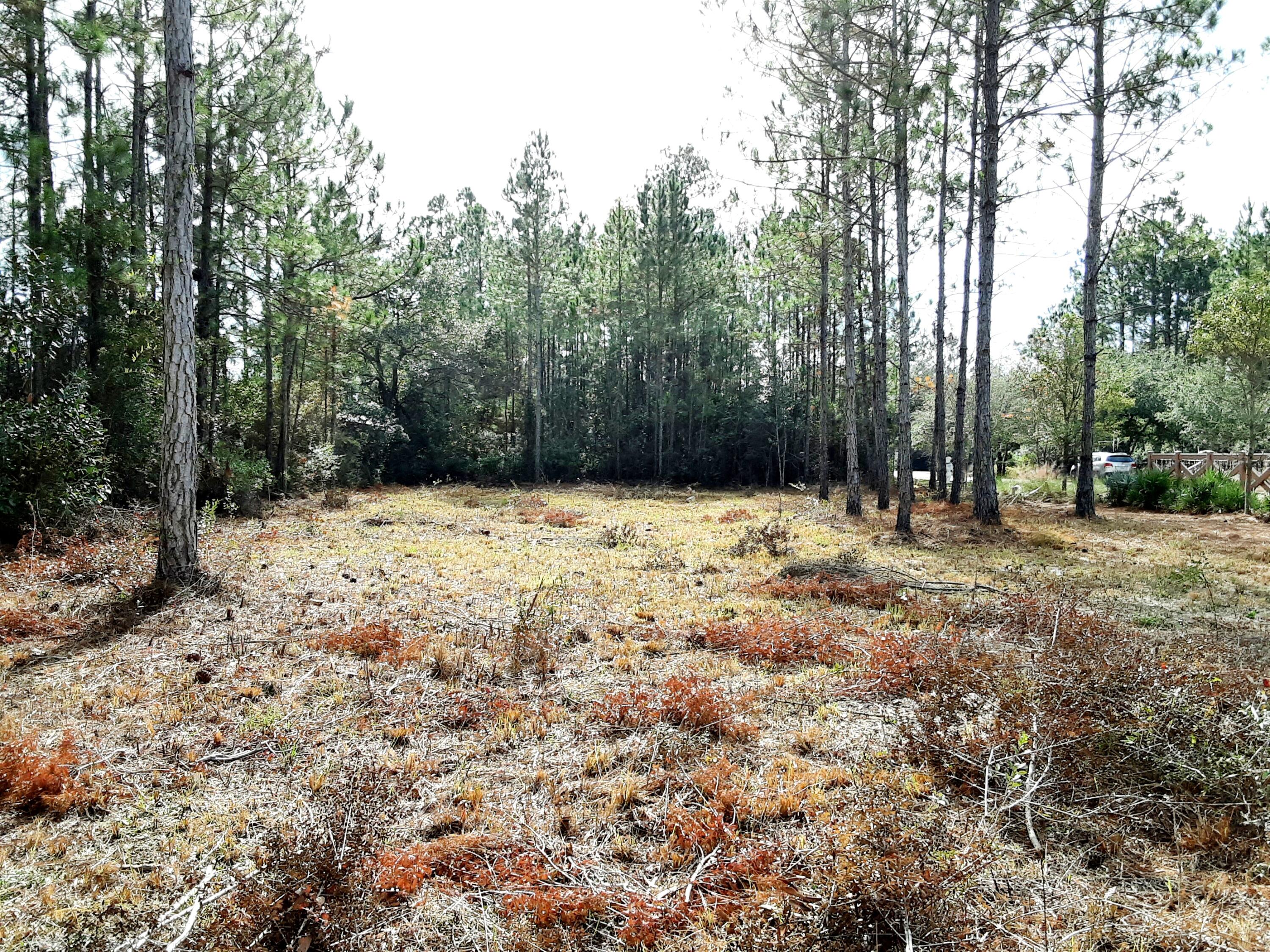 Lot 9 Bear Creek Freeport, FL 32439 - Photo 2 of 9 a view of covered with snow