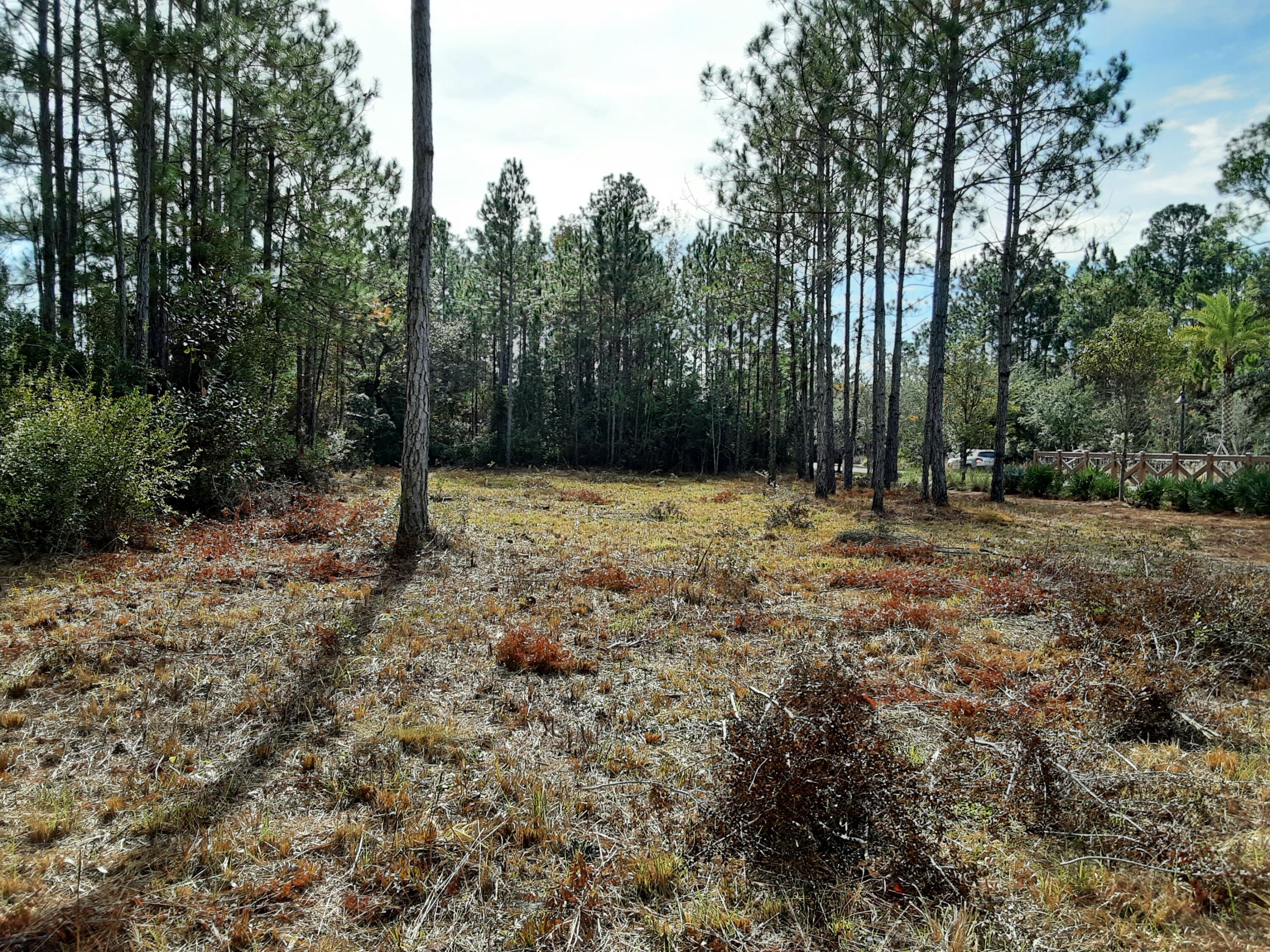 Lot 9 Bear Creek Freeport, FL 32439 - Photo 4 of 9 a view of outdoor space with trees