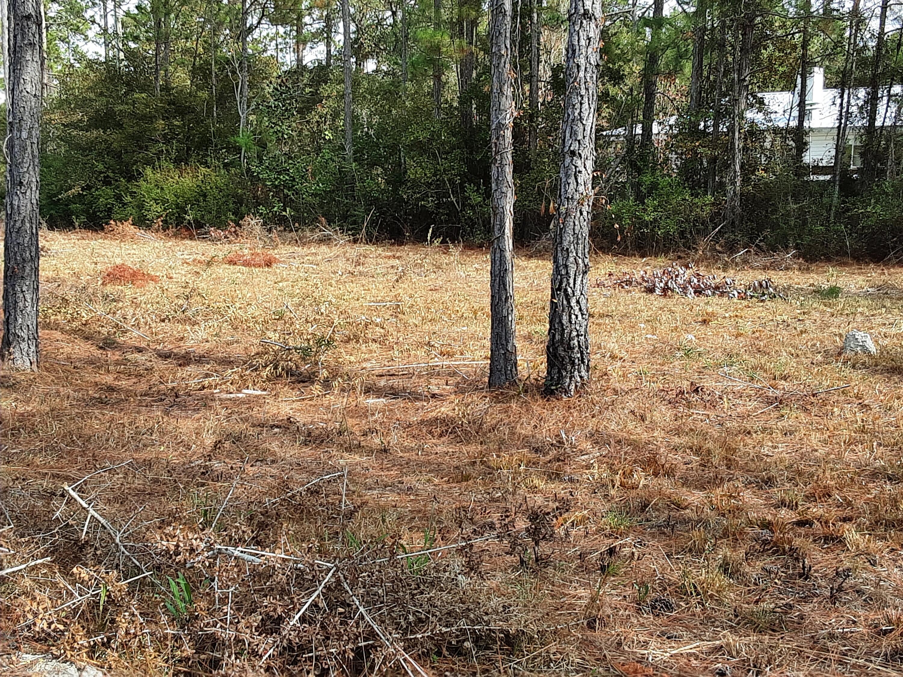 Lot 9 Bear Creek Freeport, FL 32439 - Photo 5 of 9 a view of a yard covered in snow