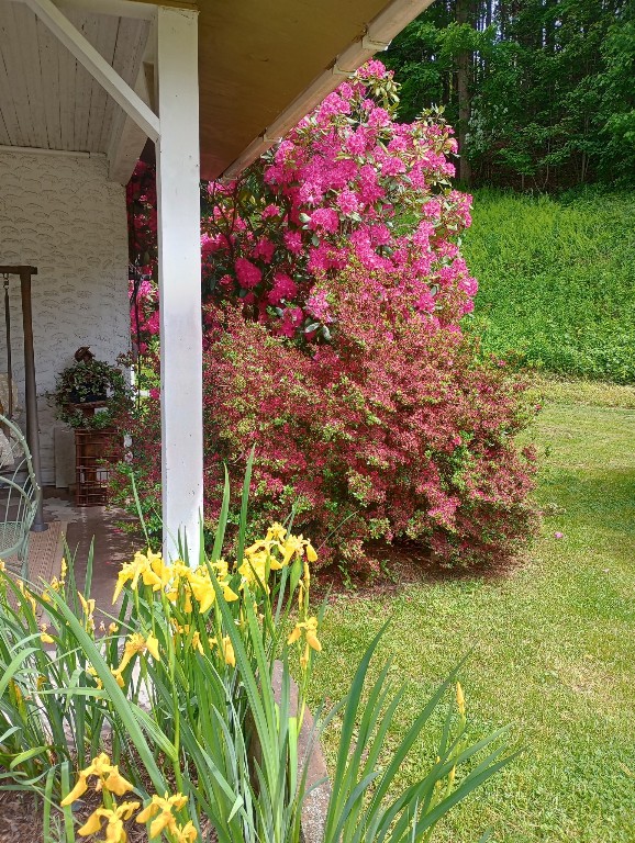 6 State Line Road Windsor, NY 13865 - Photo 3 of 27 Gallery Image 3