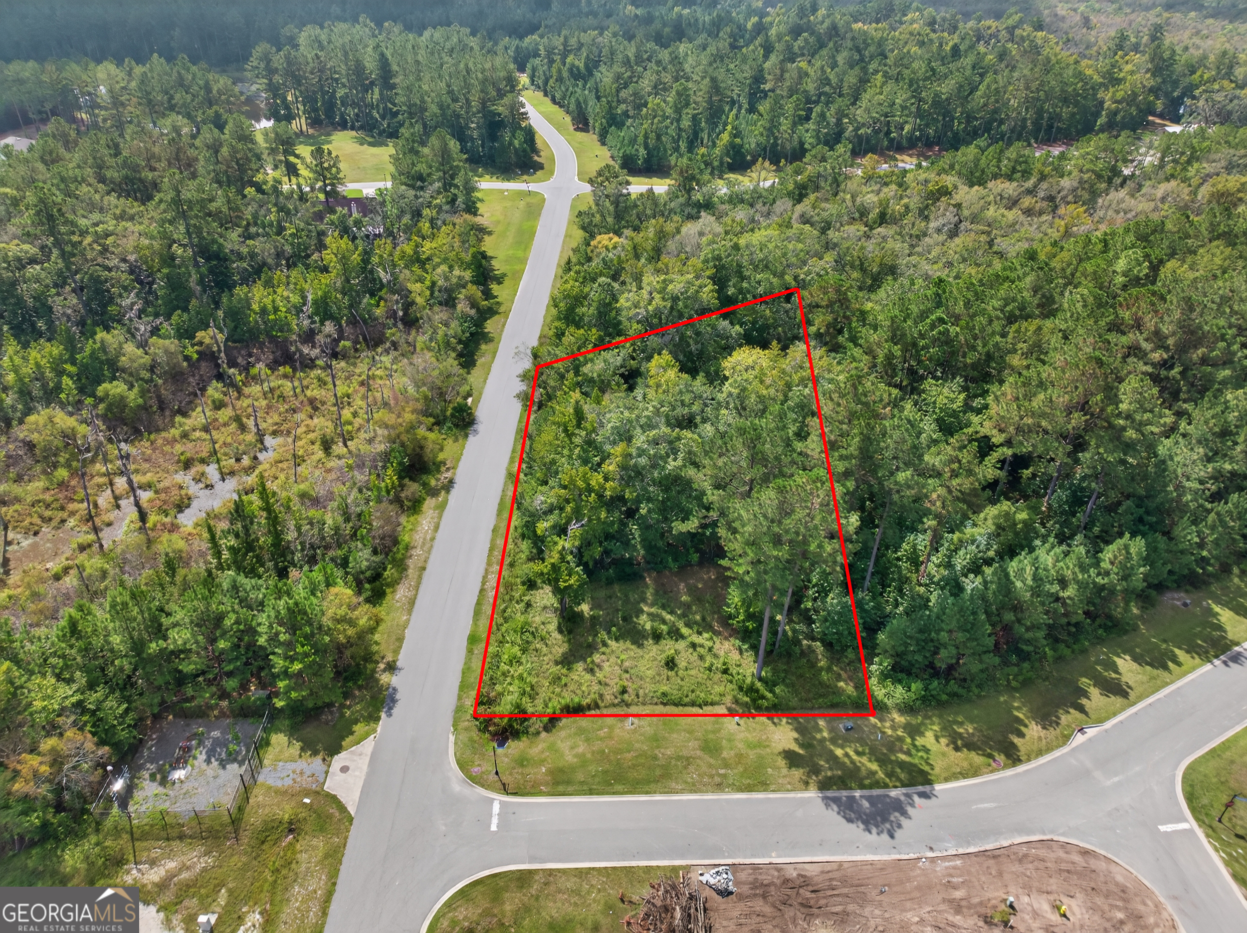 a view of a yard with plants