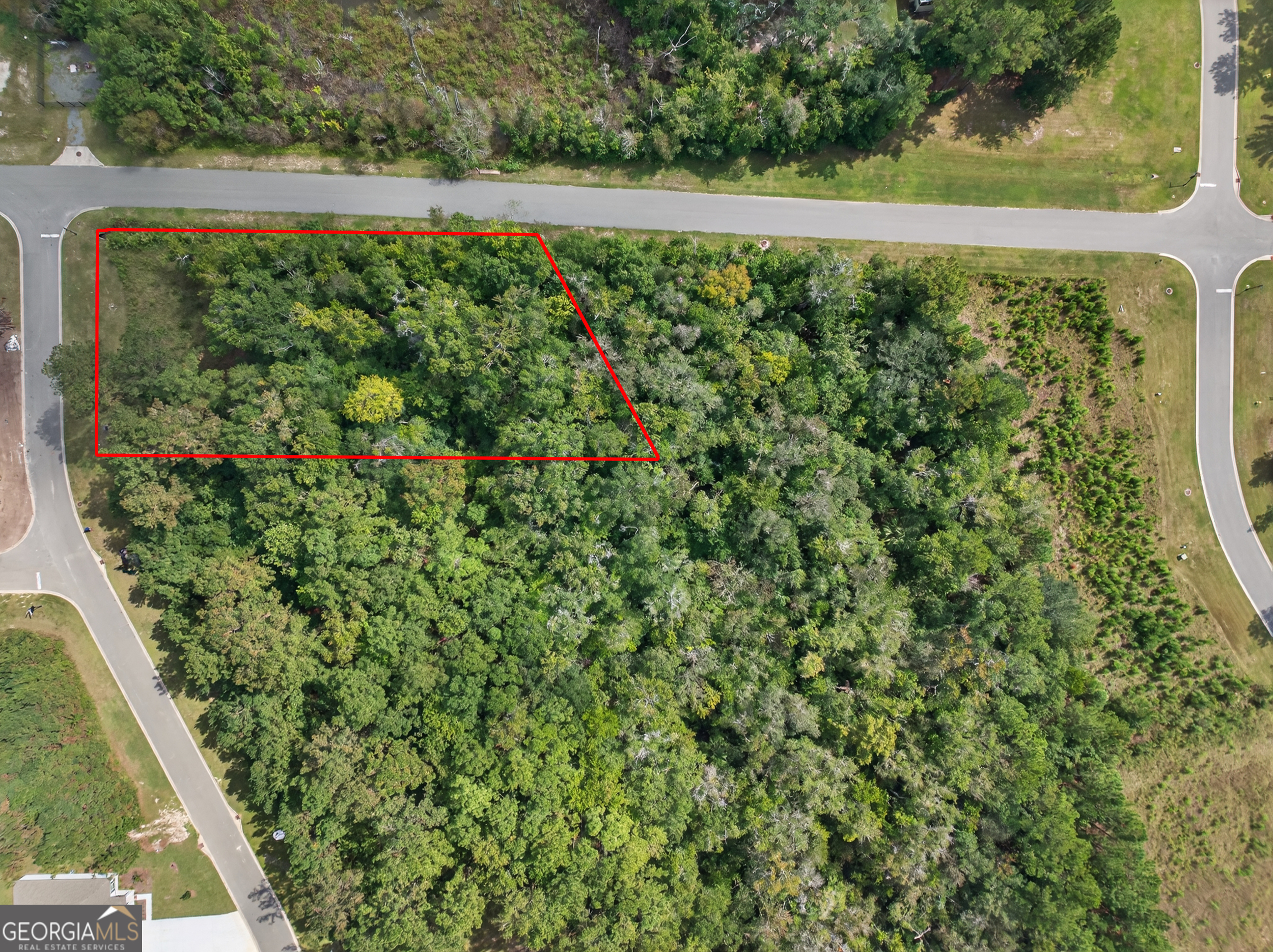 615 Breakwater Loop Kingsland, GA 31548 - Photo 6 of 25 a view of a yard with plants