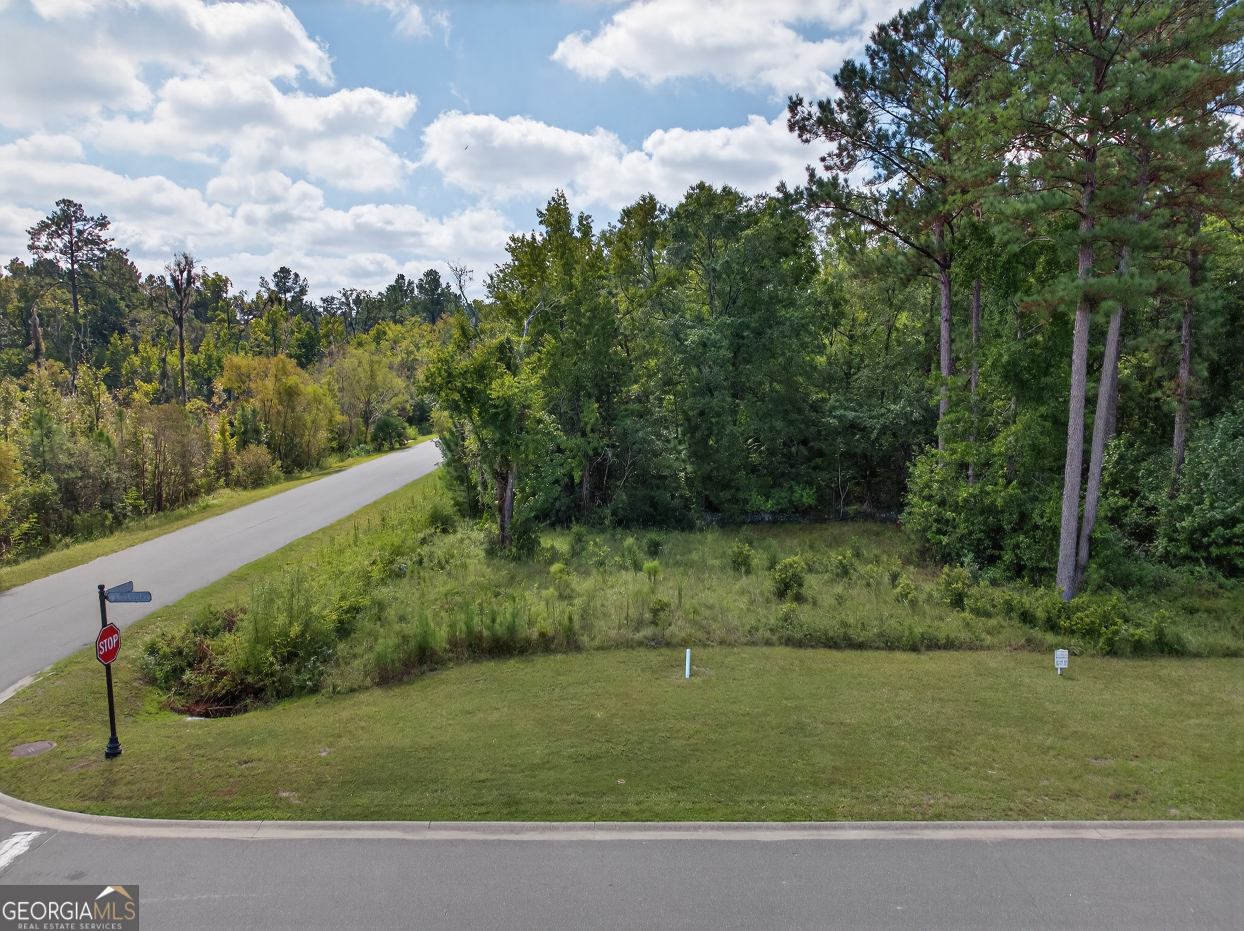 615 Breakwater Loop Kingsland, GA 31548 - Photo 8 of 25 a view of a yard