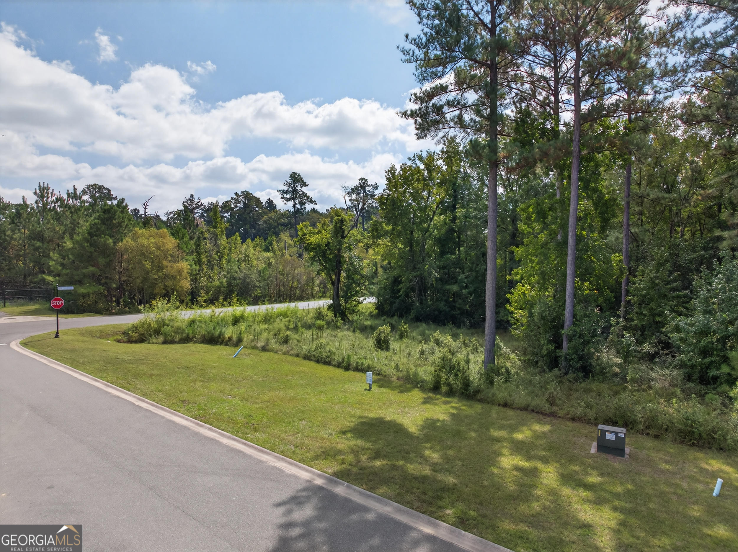 615 Breakwater Loop Kingsland, GA 31548 - Photo 9 of 25 a view of a field with a tree