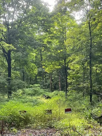 a view of a garden