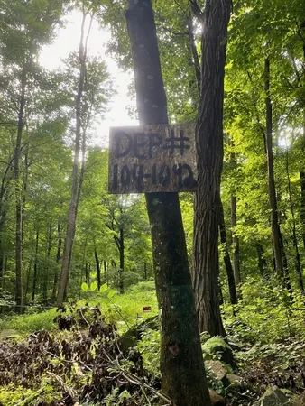 a close up of a street sign
