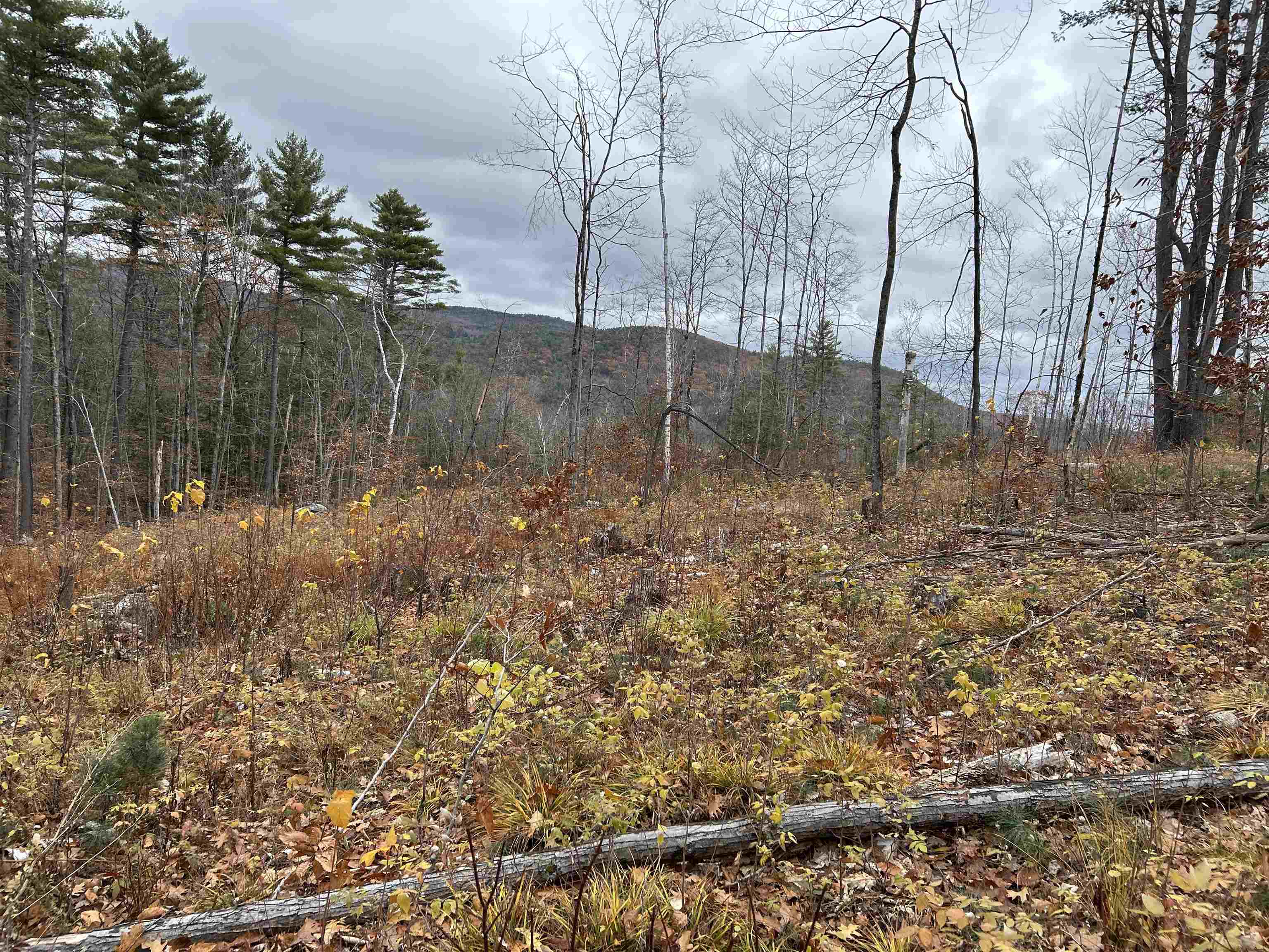 0 Pound Road North North Sutton, NH 03260 - Photo 39 of 51