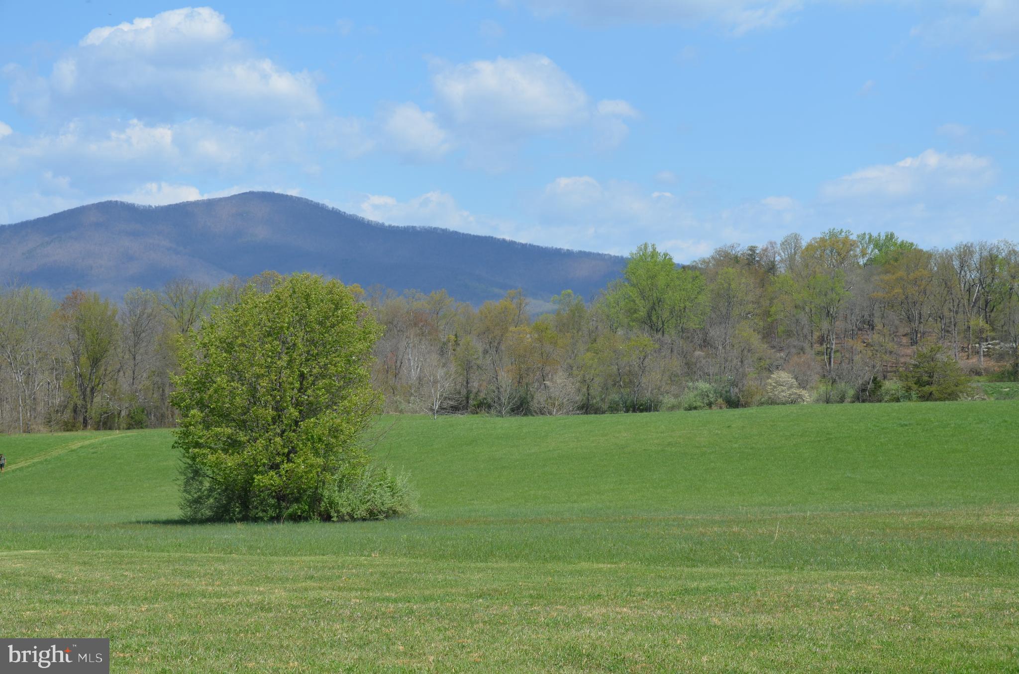 263 Tiger Valley Road Washington, VA 22747 - Photo 12 of 48 Mountain View from the Meadow
