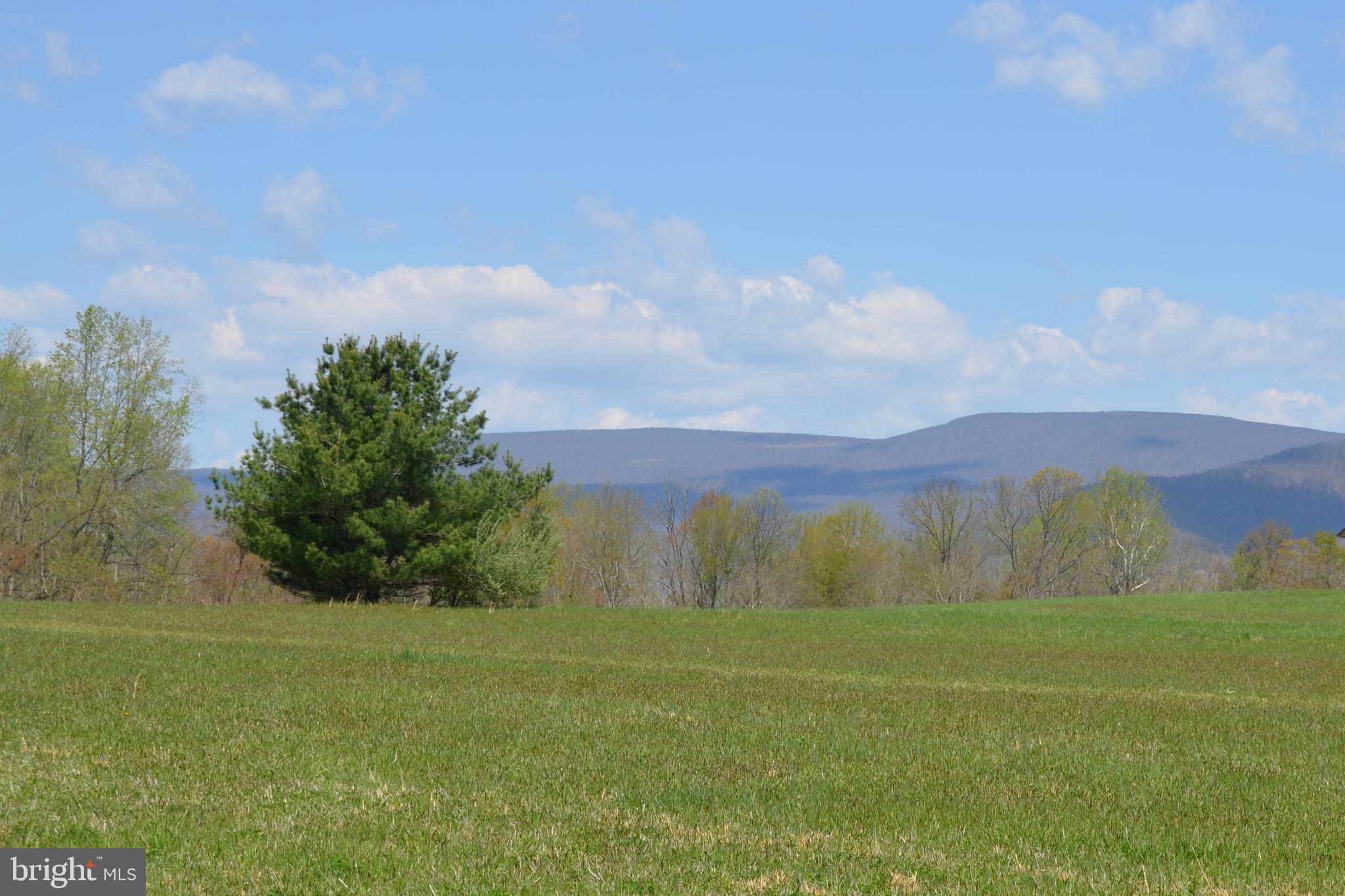 263 Tiger Valley Road Washington, VA 22747 - Photo 13 of 48