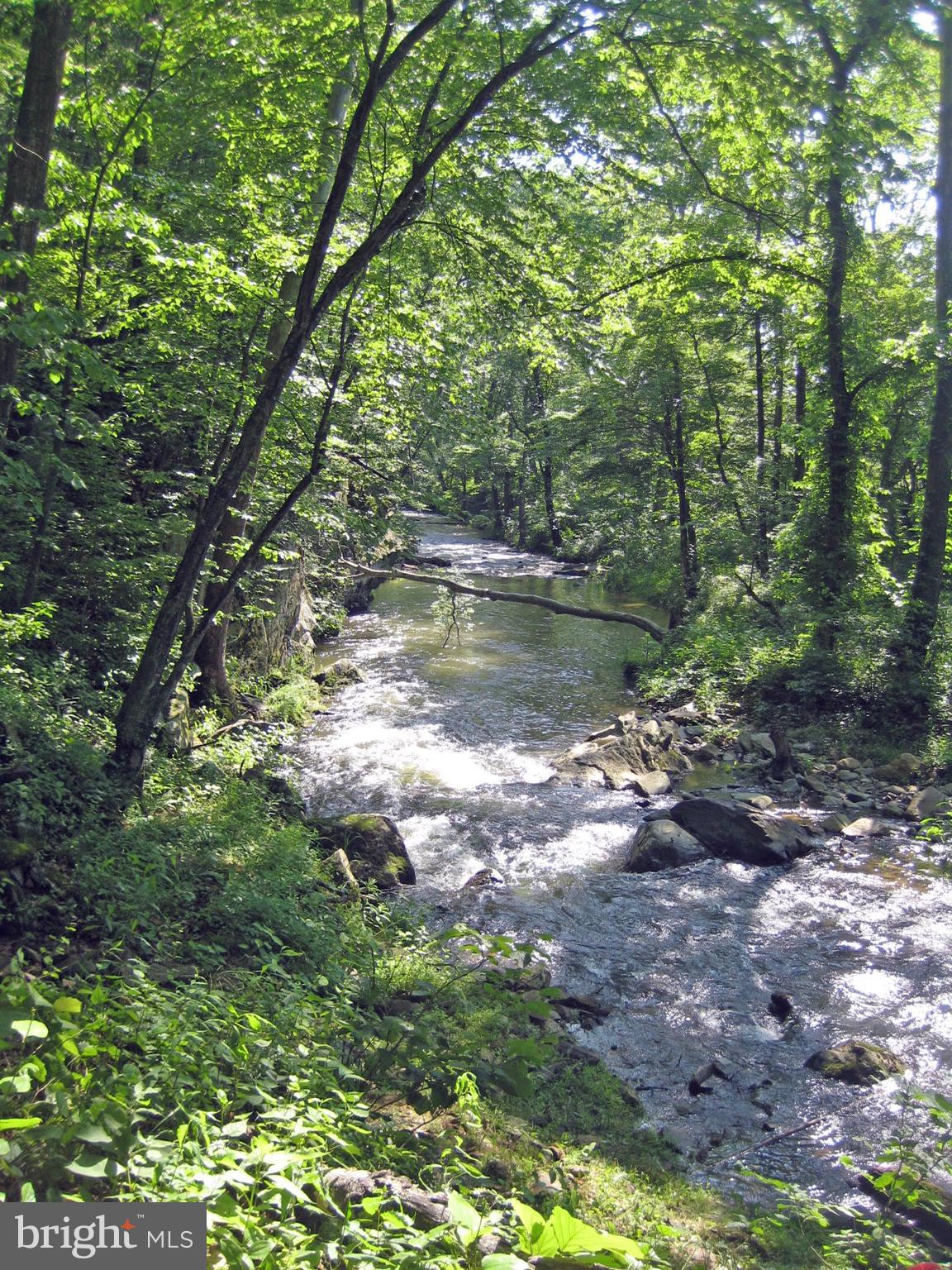 263 Tiger Valley Road Washington, VA 22747 - Photo 17 of 48 Rush River Looking South