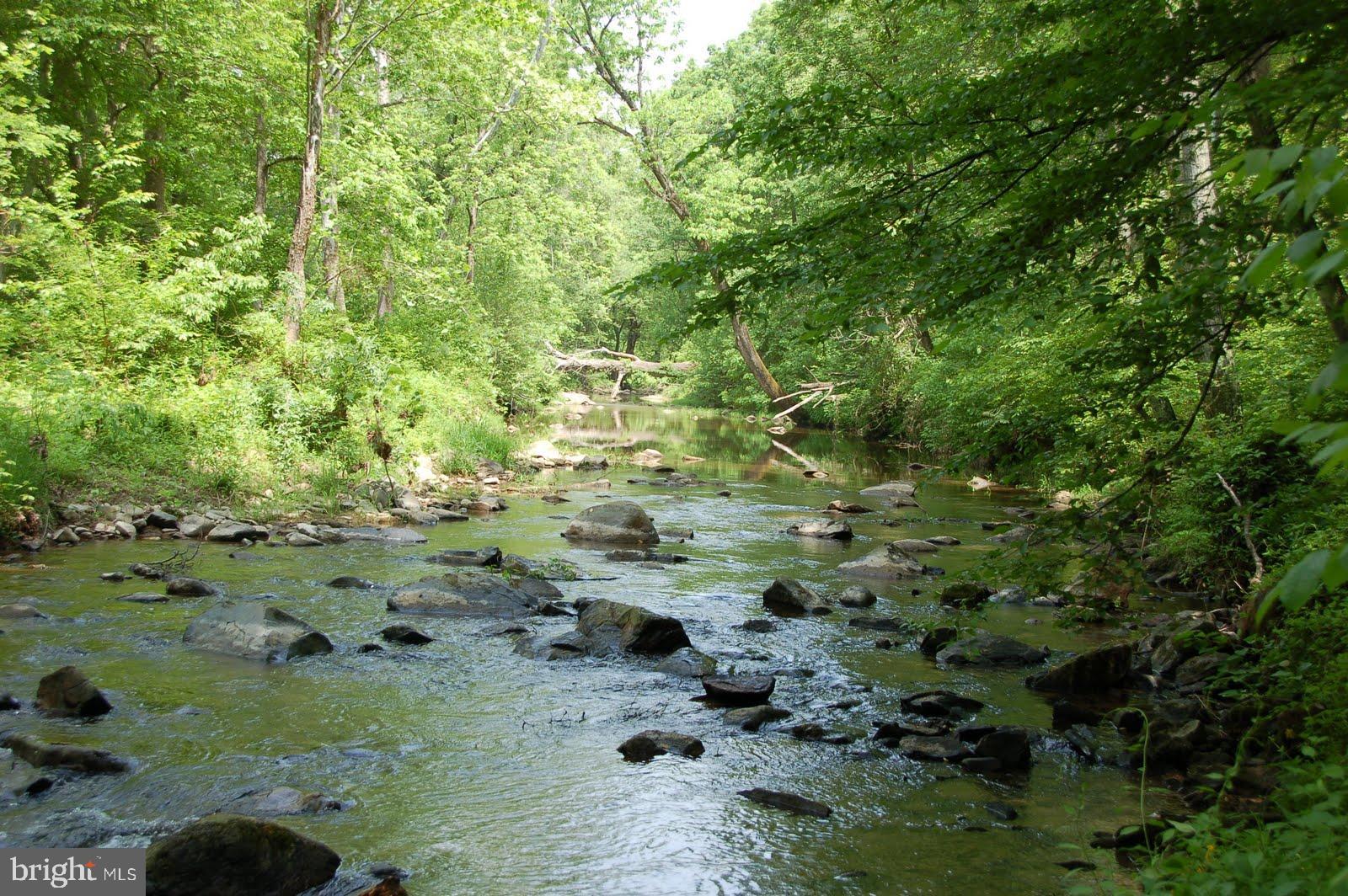 263 Tiger Valley Road Washington, VA 22747 - Photo 18 of 48 Rush River Looking North