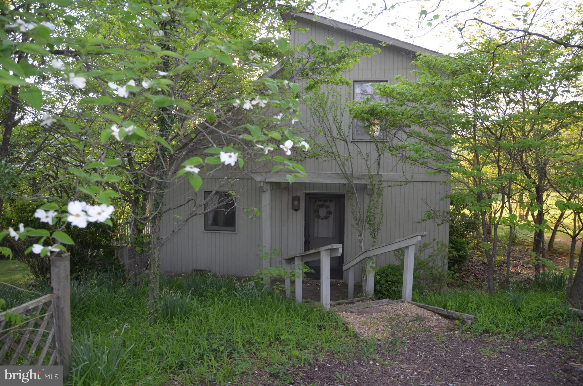 263 Tiger Valley Road Washington, VA 22747 - Photo 22 of 48 Main House Entrance with Dogwood in Bloom