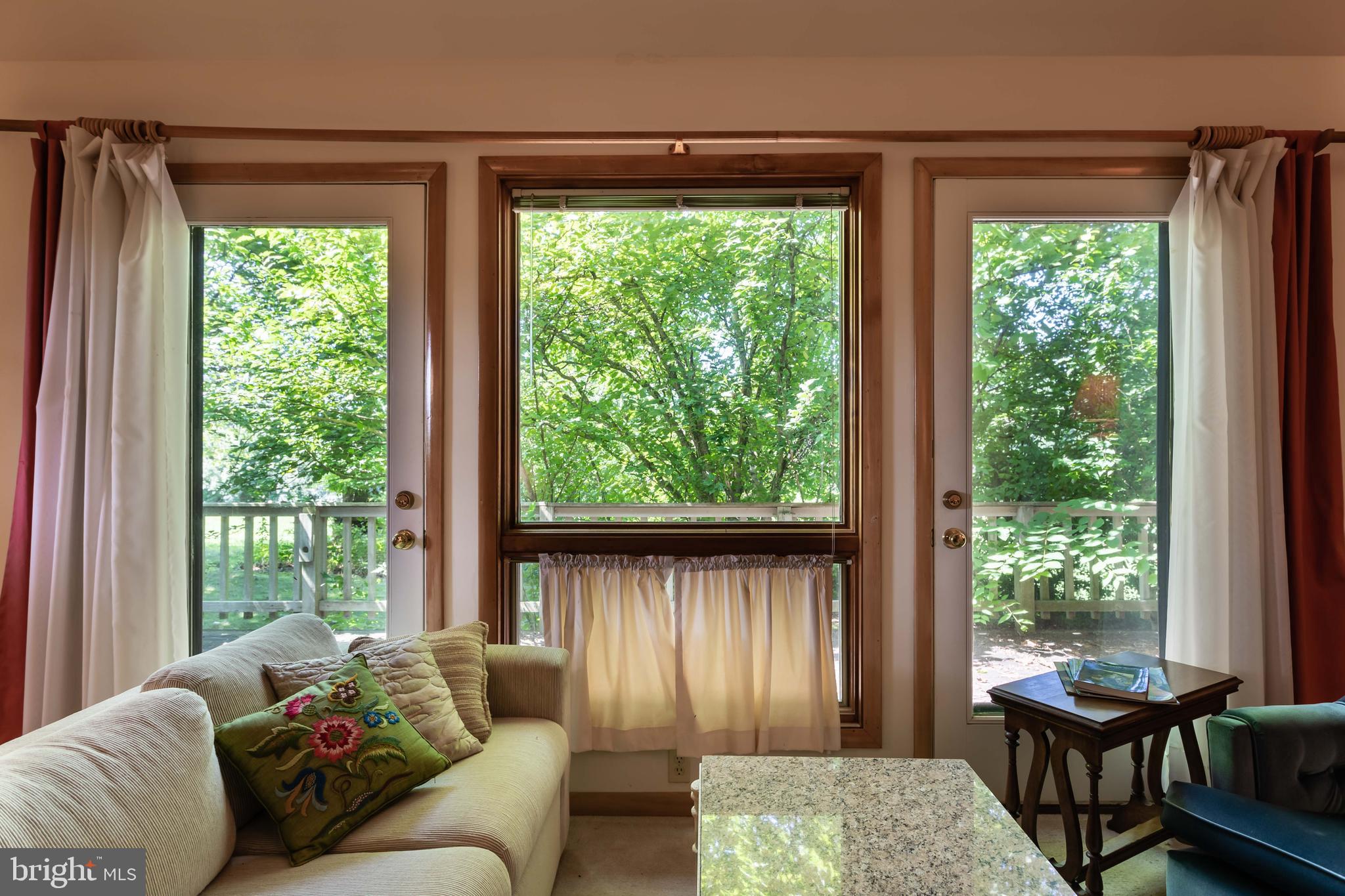 263 Tiger Valley Road Washington, VA 22747 - Photo 25 of 48 Living Room with Access to Side Deck