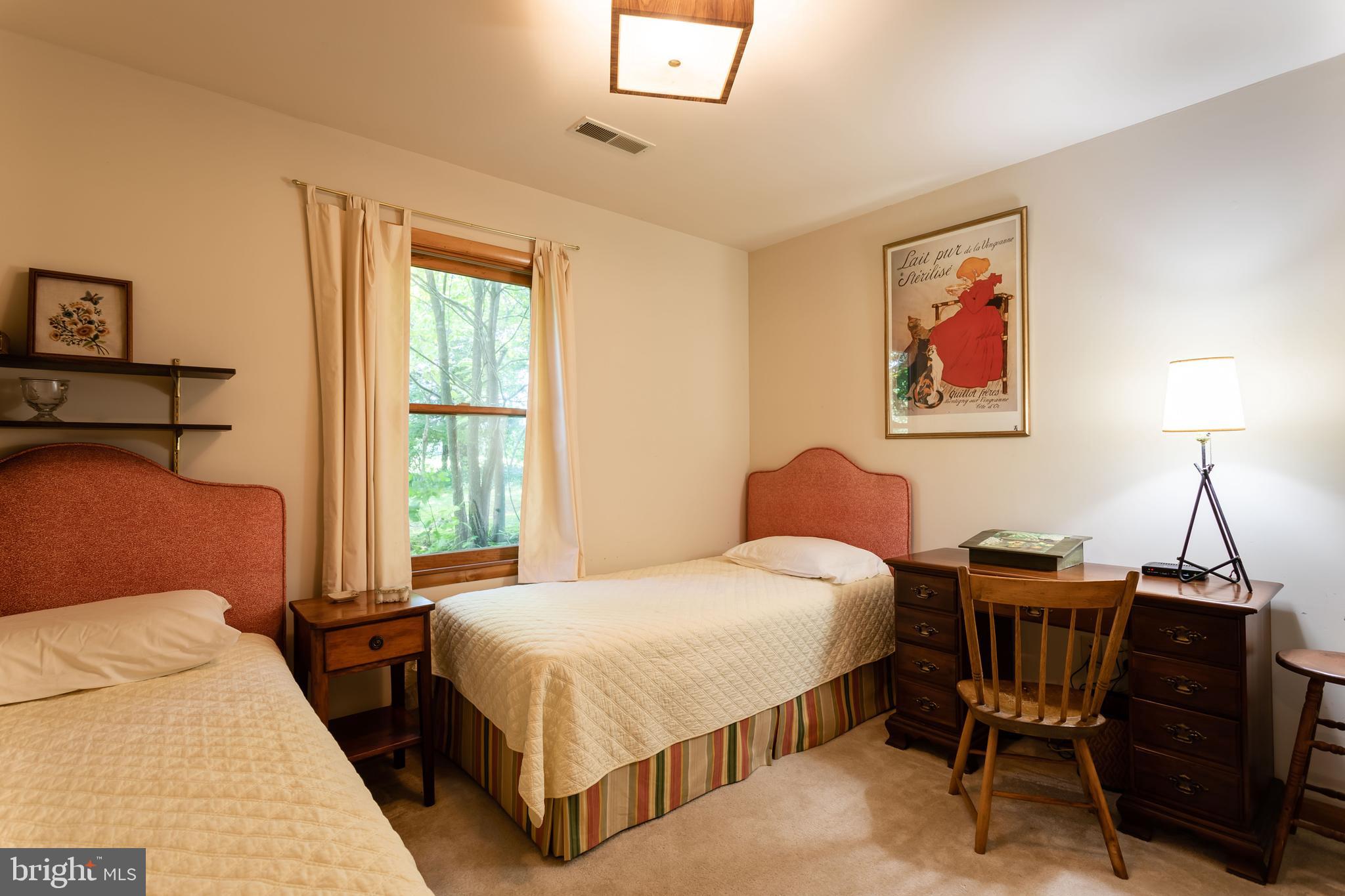 263 Tiger Valley Road Washington, VA 22747 - Photo 28 of 48 Main Level Bedroom in Main House