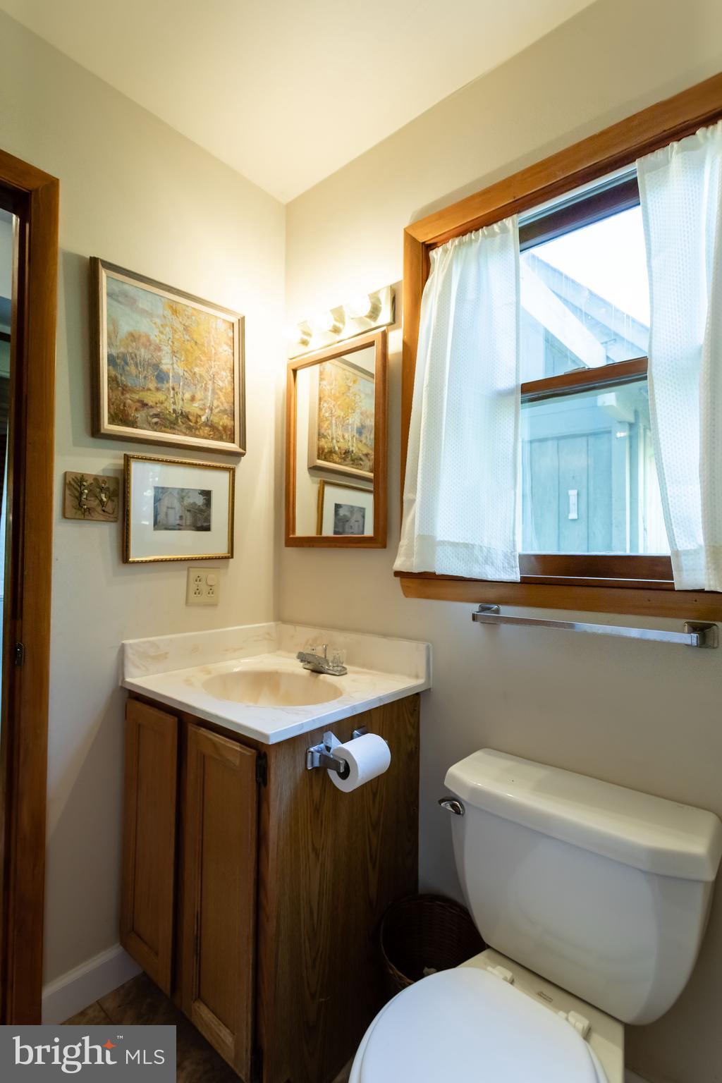 263 Tiger Valley Road Washington, VA 22747 - Photo 29 of 48 Main Level Full Bath