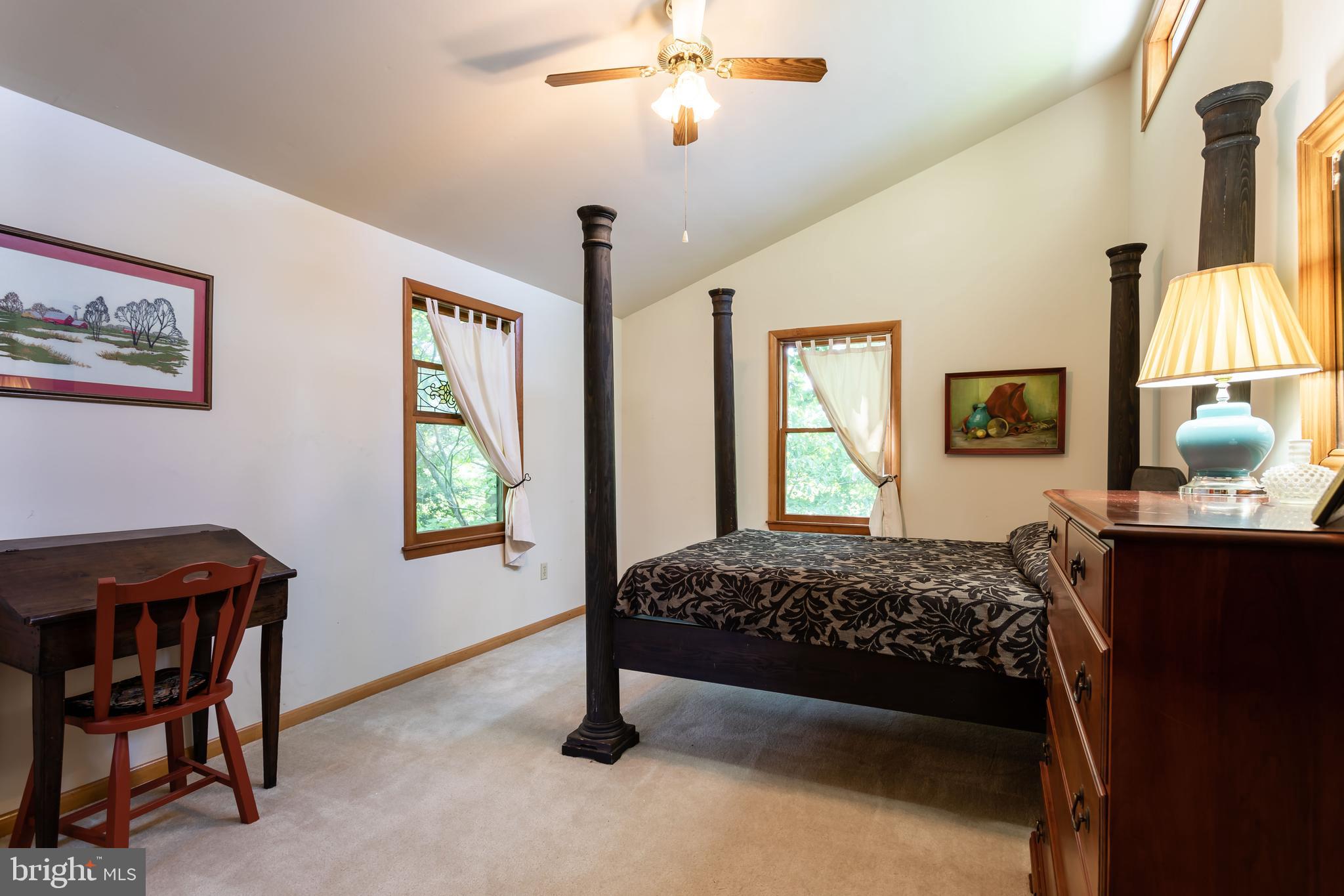 263 Tiger Valley Road Washington, VA 22747 - Photo 30 of 48 Master Bedroom with Vaulted Ceiling