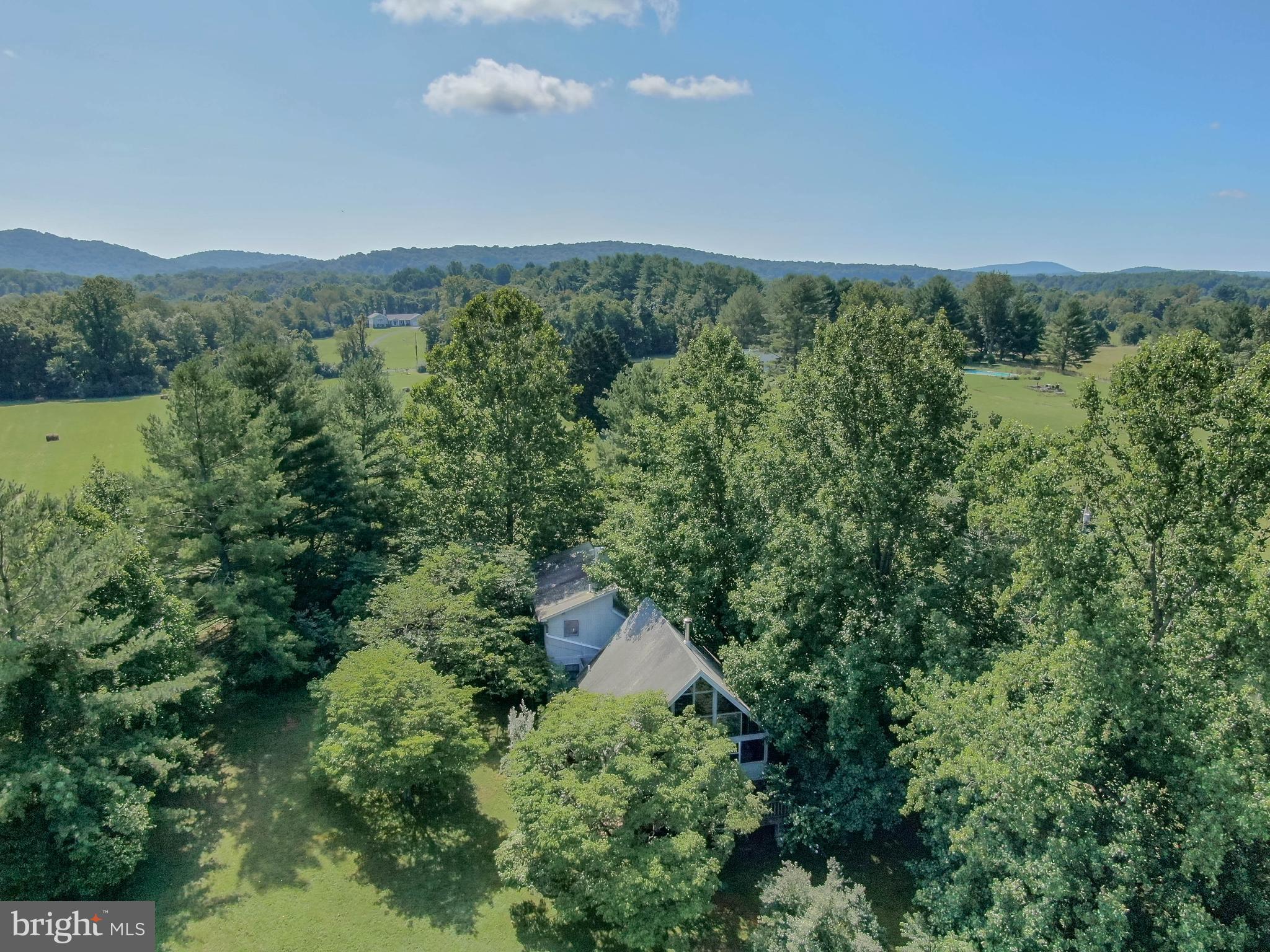 263 Tiger Valley Road Washington, VA 22747 - Photo 4 of 48 Two homes surrounded by trees for privacy