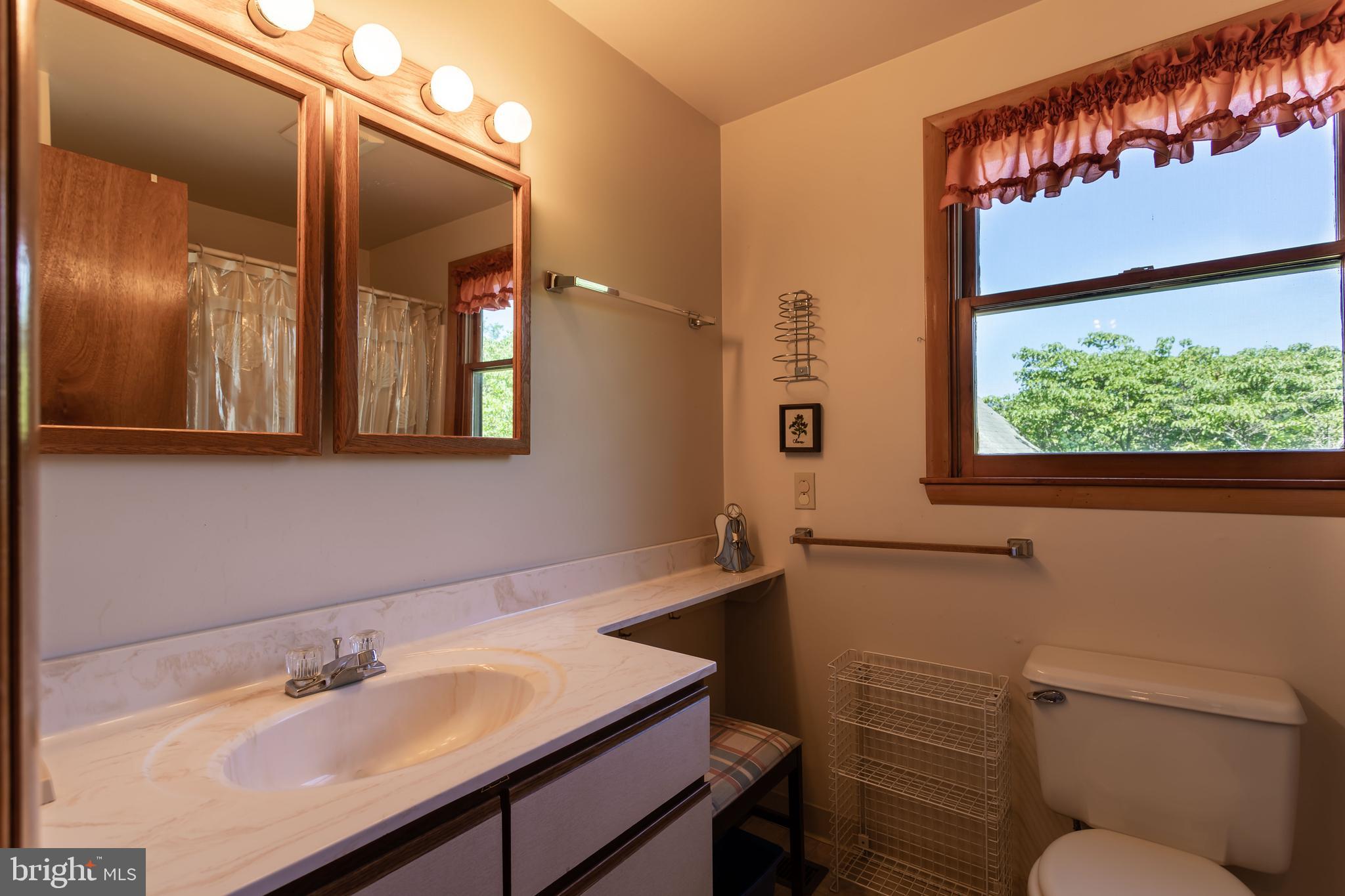 263 Tiger Valley Road Washington, VA 22747 - Photo 32 of 48 Full Bath off of Master Bedroom