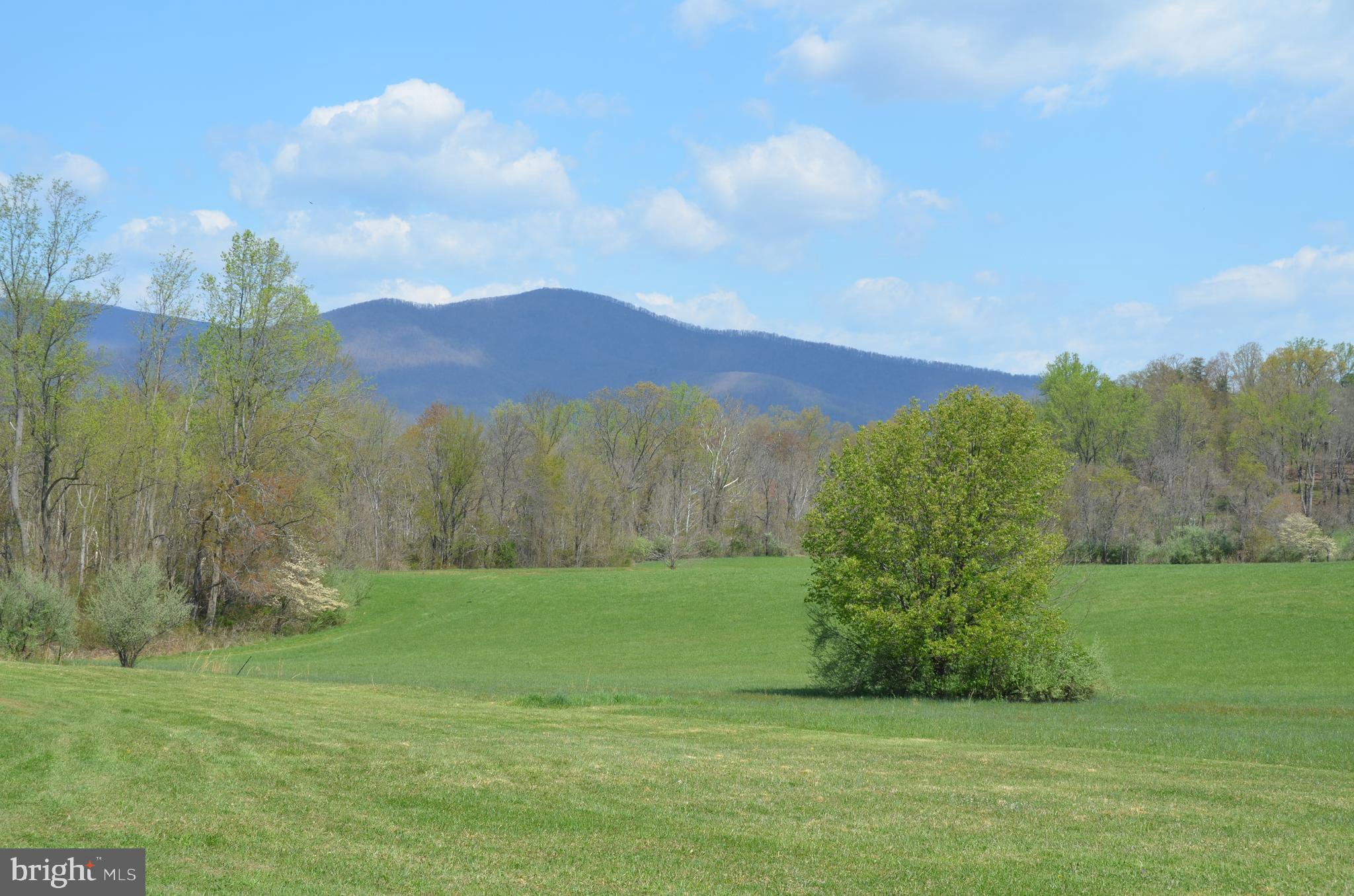 263 Tiger Valley Road Washington, VA 22747 - Photo 43 of 48 Mountain Views