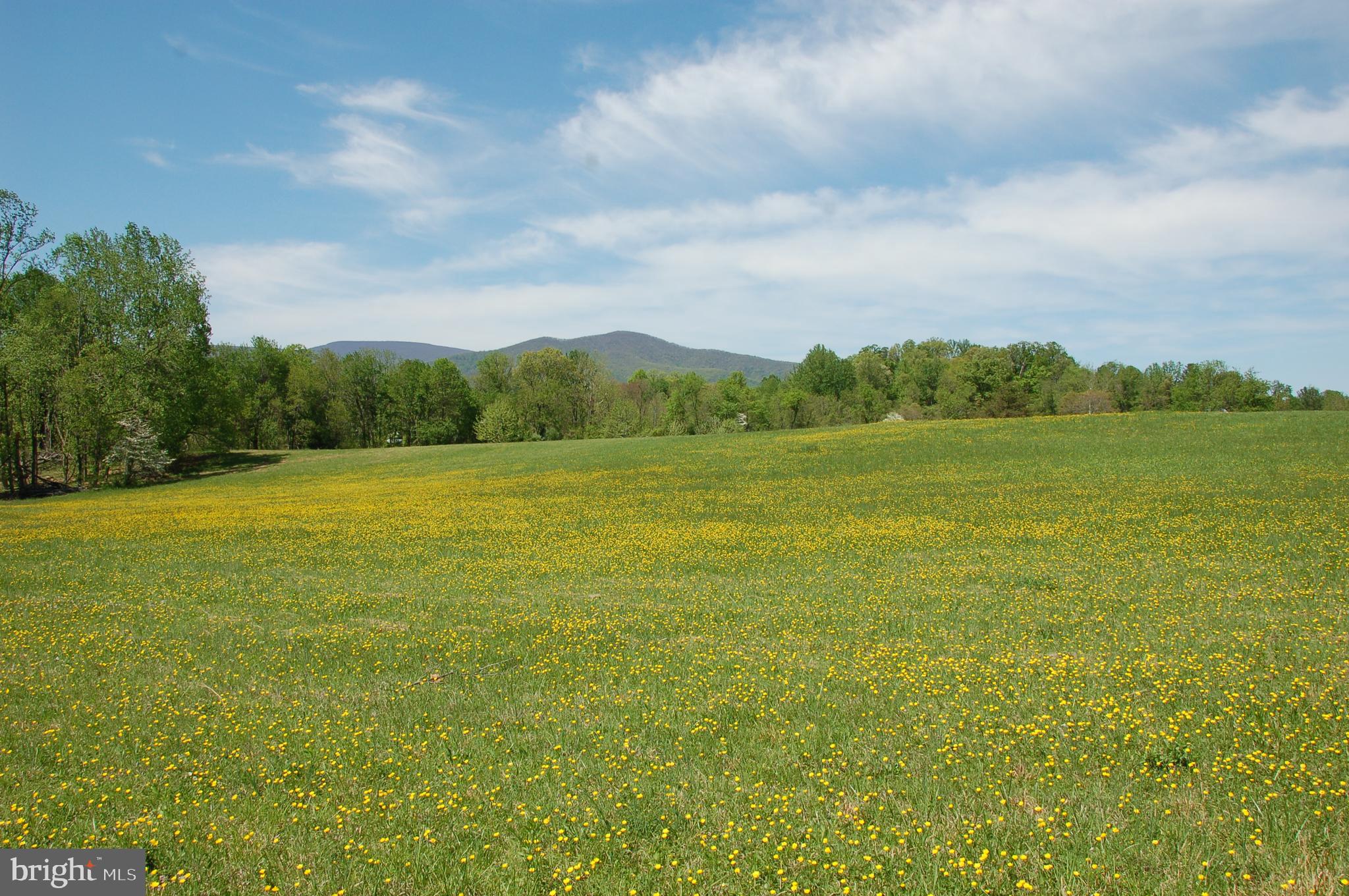 263 Tiger Valley Road Washington, VA 22747 - Photo 44 of 48