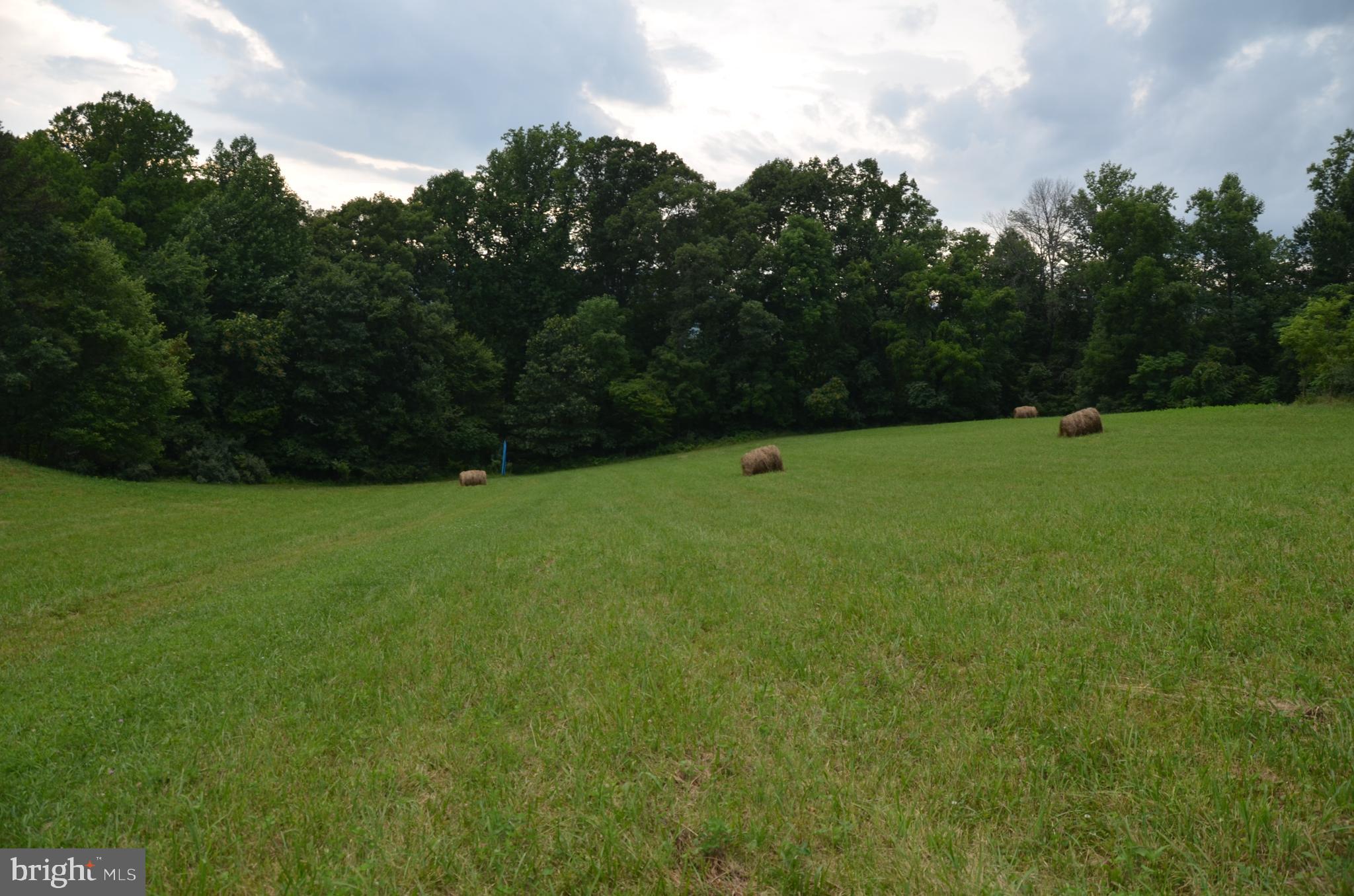 263 Tiger Valley Road Washington, VA 22747 - Photo 45 of 48 Meadow and Woods