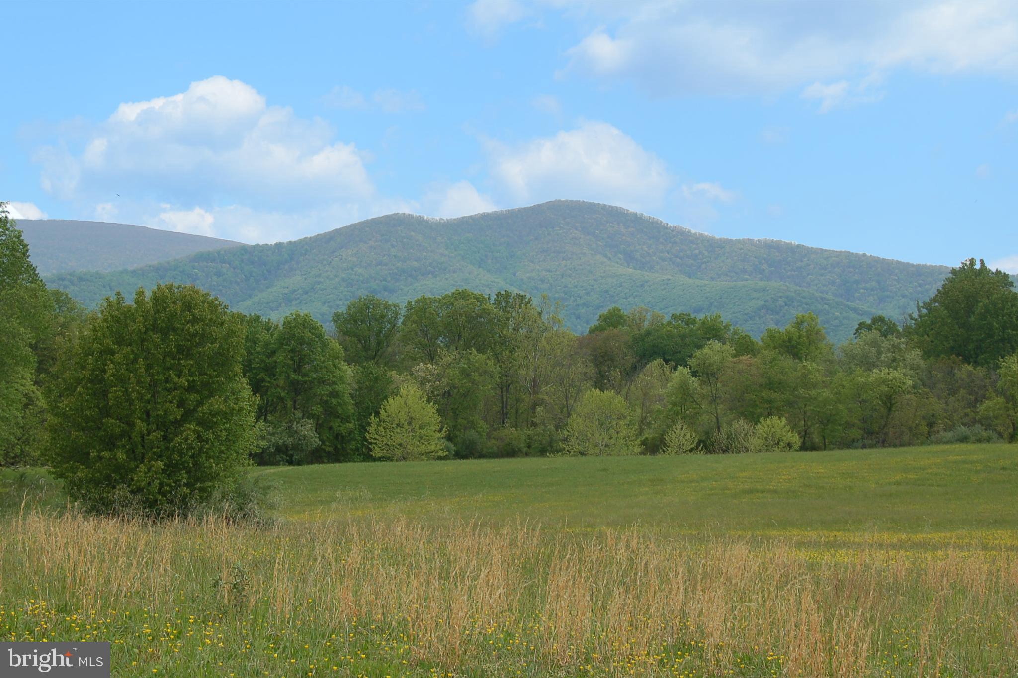 263 Tiger Valley Road Washington, VA 22747 - Photo 46 of 48 Blue Ridge Mountains