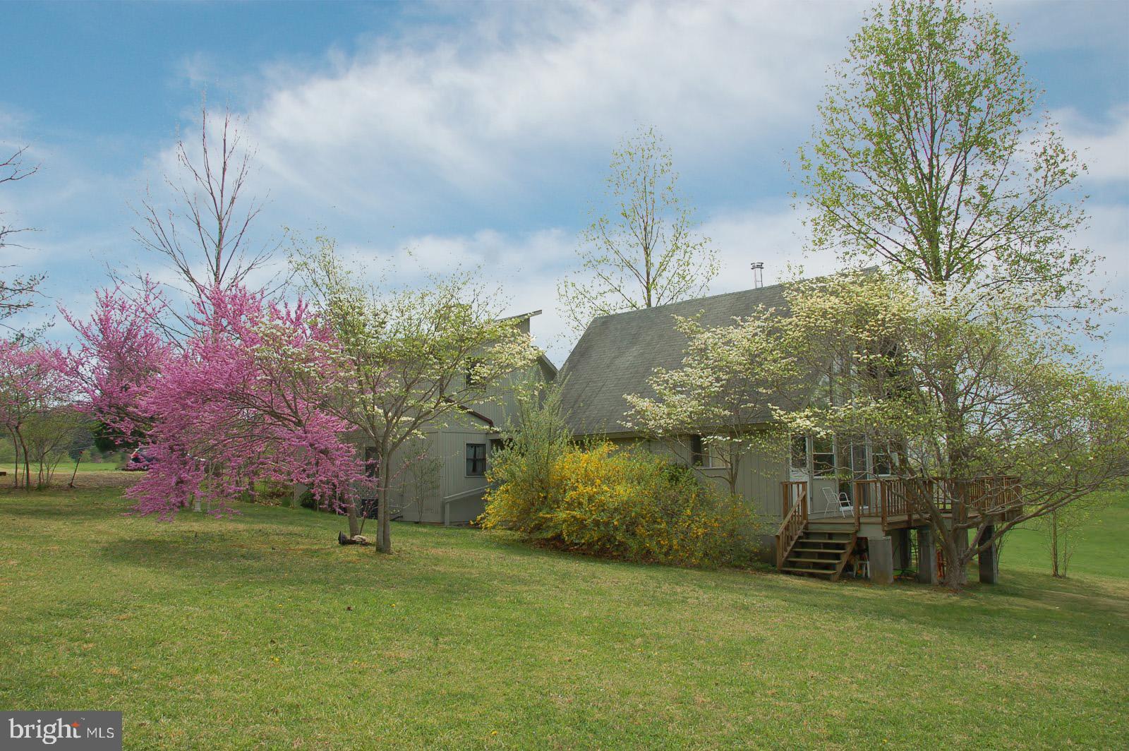 263 Tiger Valley Road Washington, VA 22747 - Photo 8 of 48 Side View