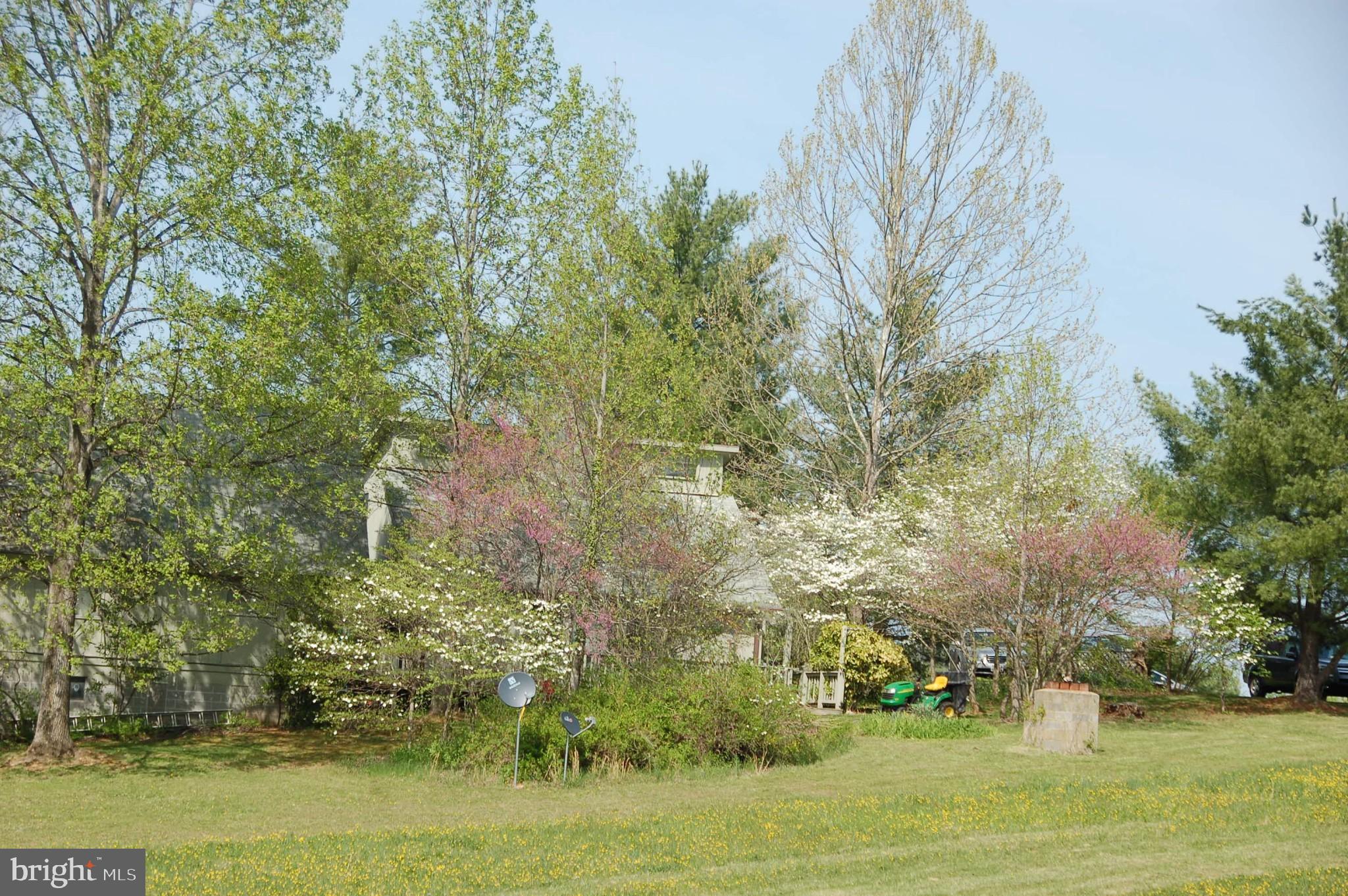 263 Tiger Valley Road Washington, VA 22747 - Photo 9 of 48 Redbuds and Dogwoods bloom in the Spring