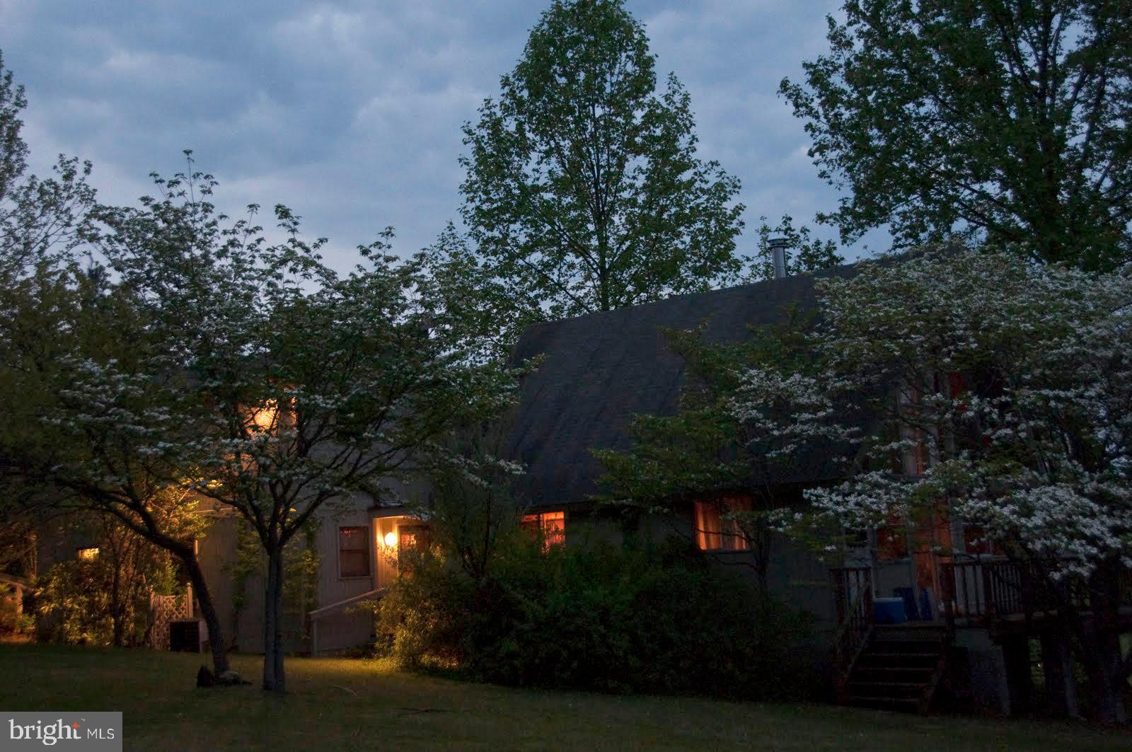 263 Tiger Valley Road Washington, VA 22747 - Photo 10 of 48 Night View
