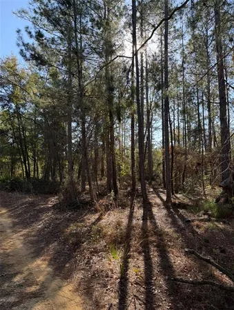 $15,000 | 5th Way, Interlachen, FL 32148