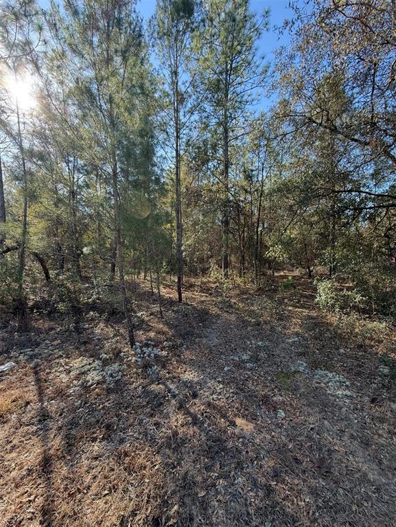 5th Way Interlachen, FL 32148 - Photo 11 of 12