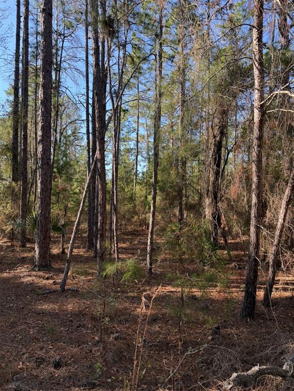 5th Way Interlachen, FL 32148 - Photo 12 of 12