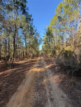 a view of road with trees