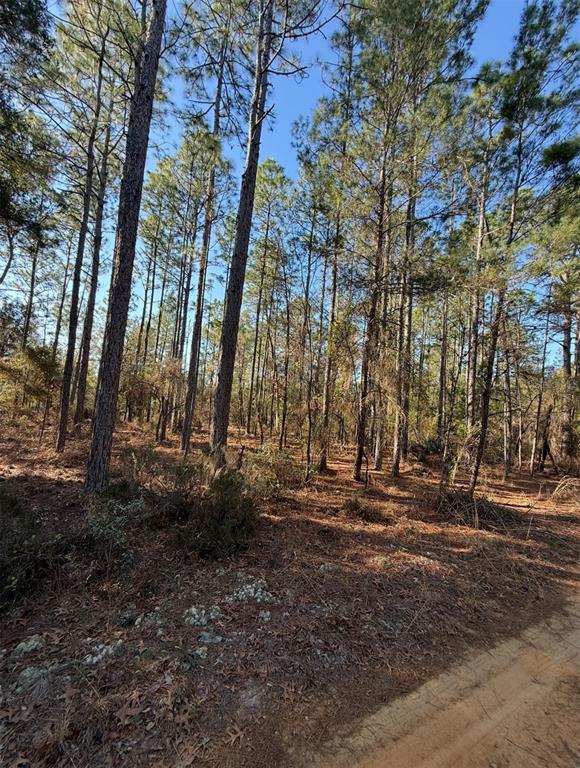 5th Way Interlachen, FL 32148 - Photo 5 of 12